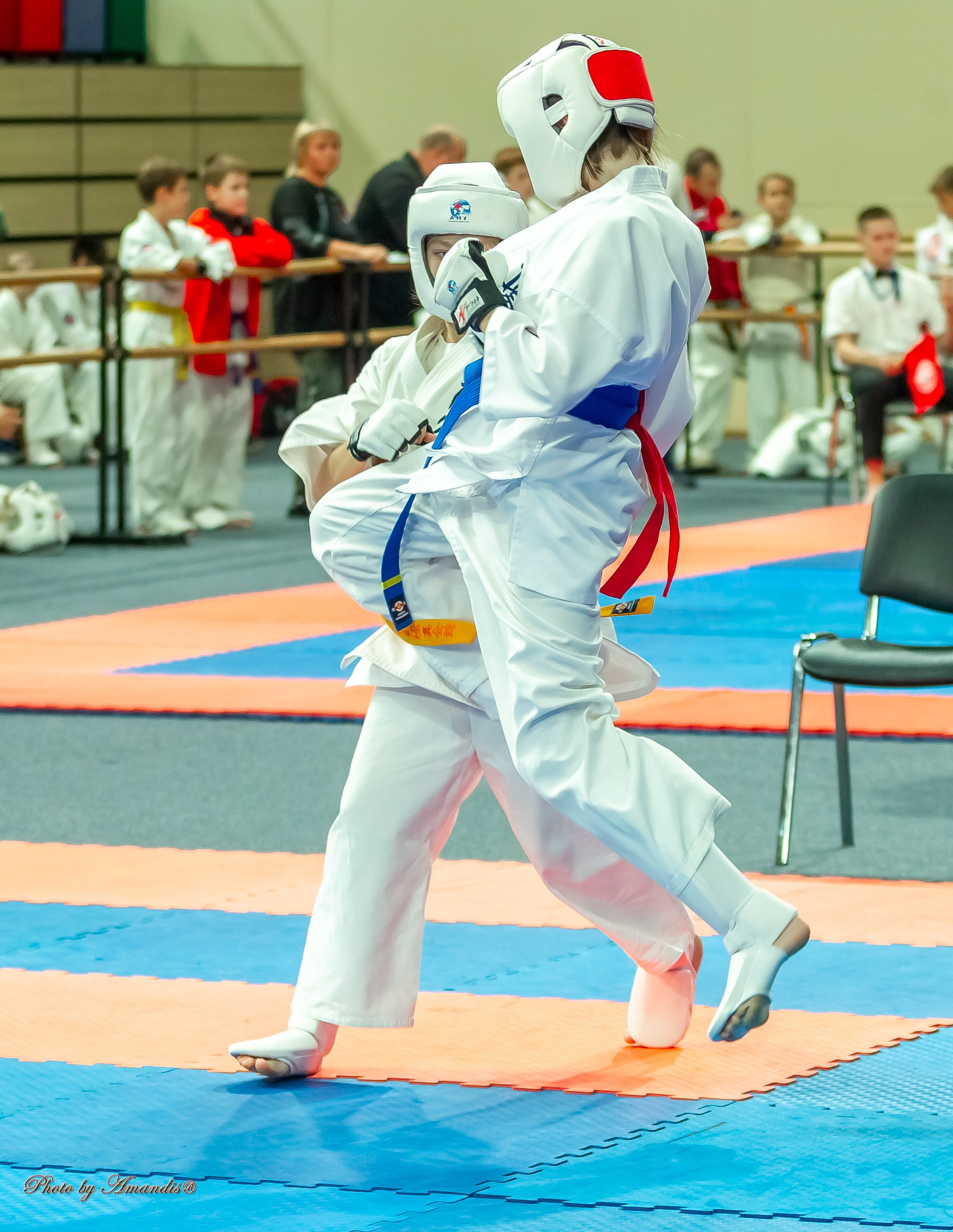 Первенство Московской области по Киокушин в СК «Жаворонки». Репортажная съемка в Москве и области. Анималистика