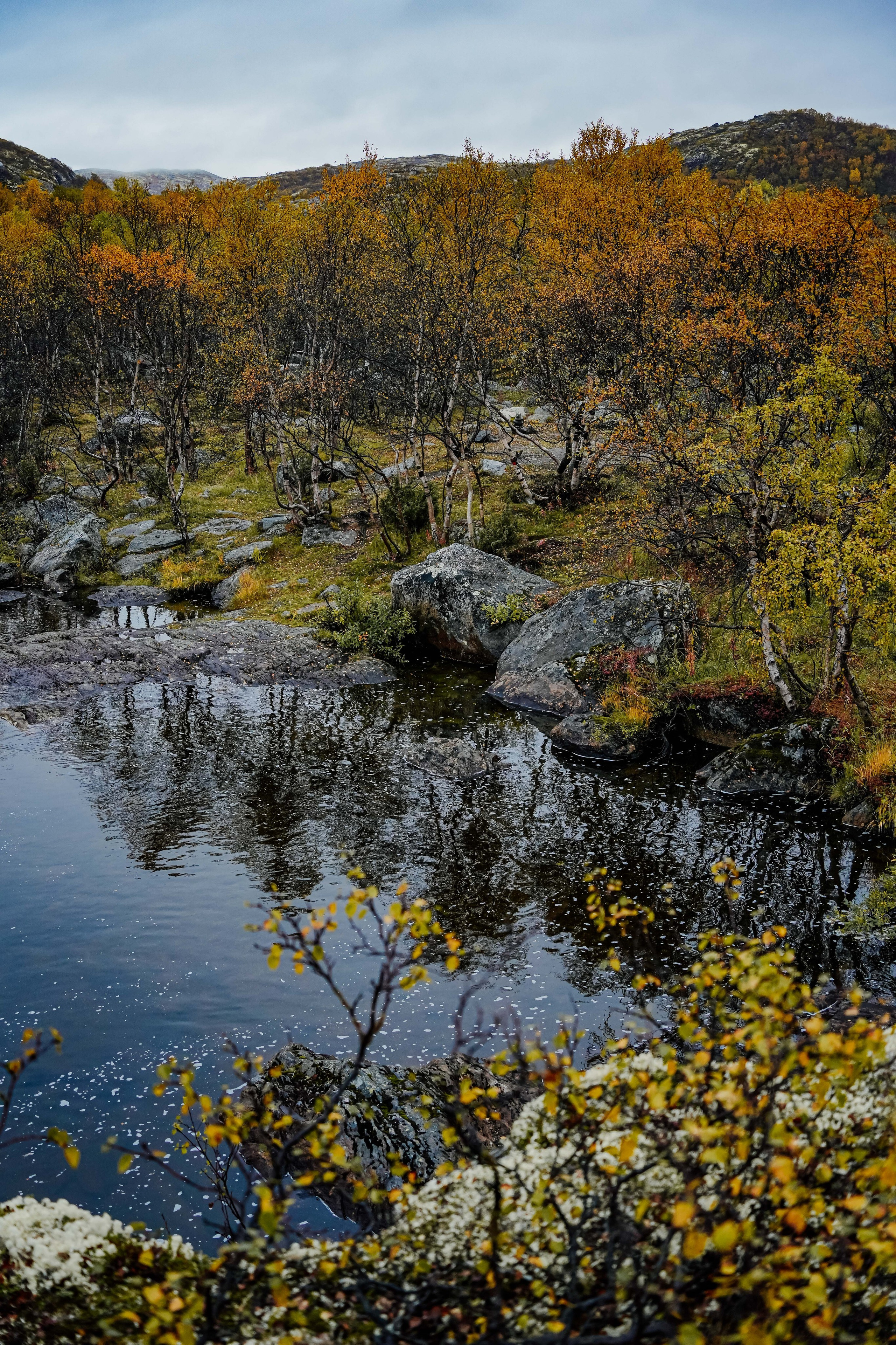 СЕВЕР. Event фотограф Степанова Александра