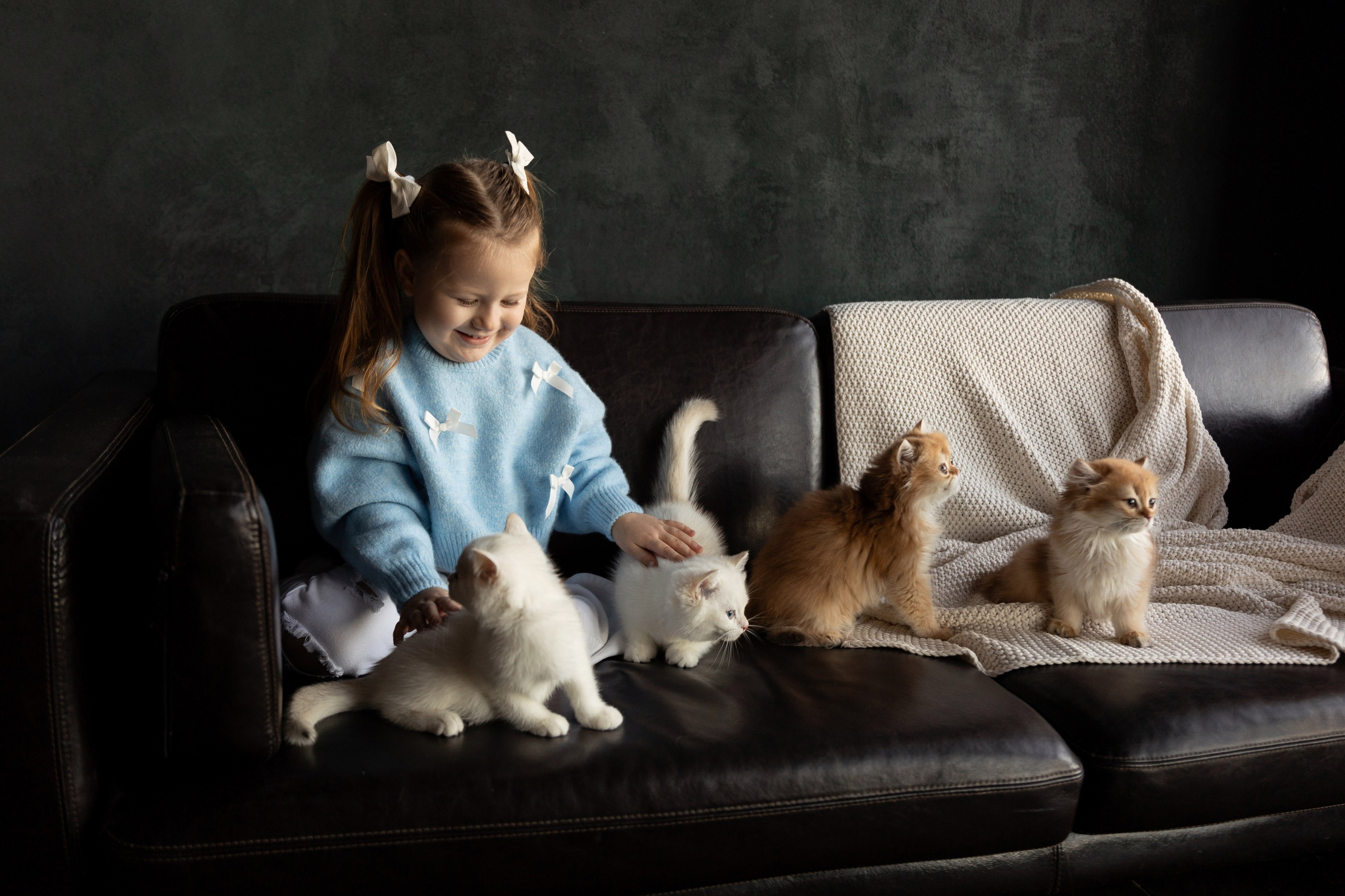 Фотосессия с котятами. Семейный и свадебный фотограф в Санкт-Петербурге Татьяна Швыкова