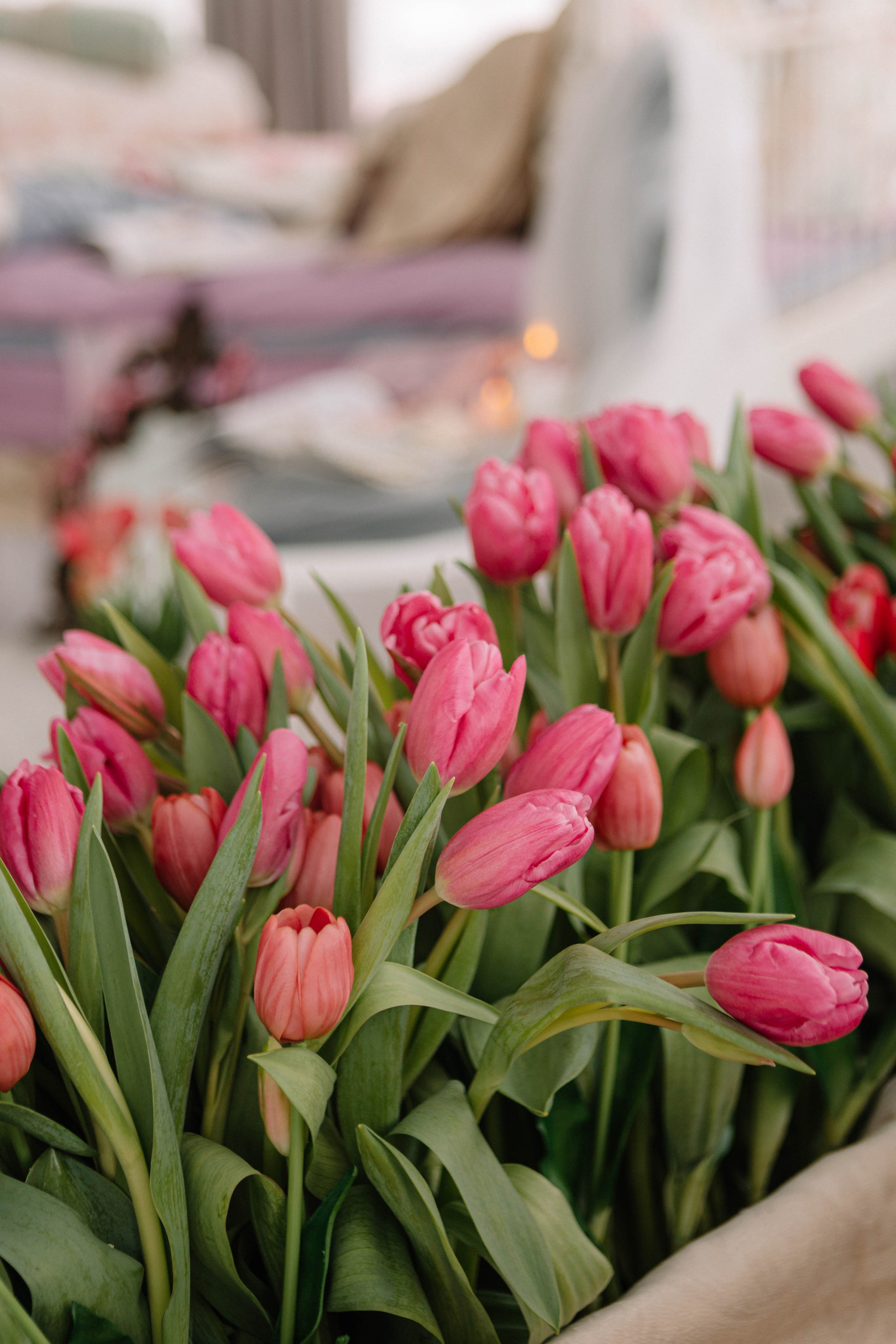 Лина. Фотограф Александра Кузнецова