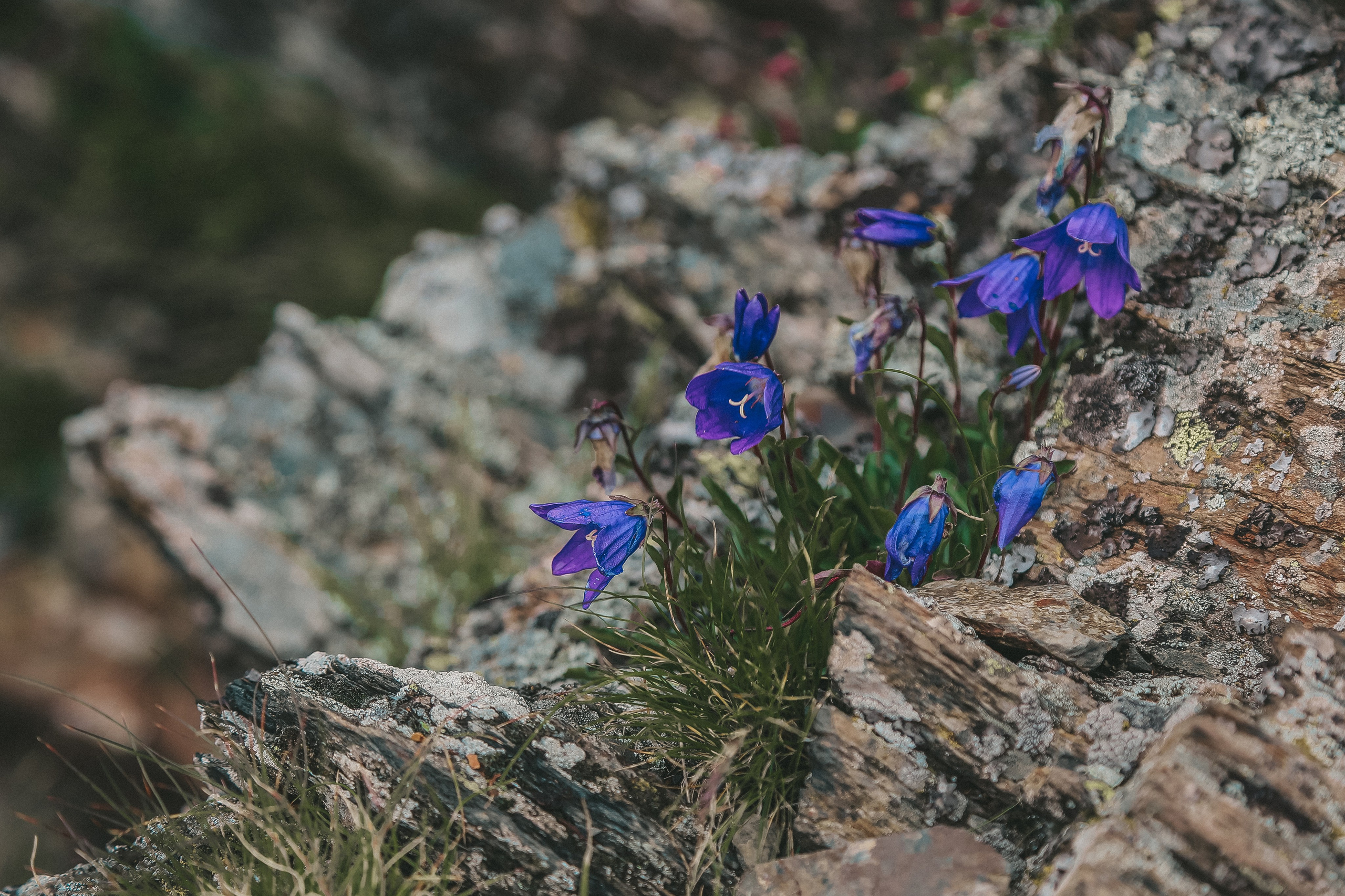 Кавказ: Северная Осетия. Дарья Письменюк / Darya Leitstern — фотограф, музыкант, журналист, путешественник