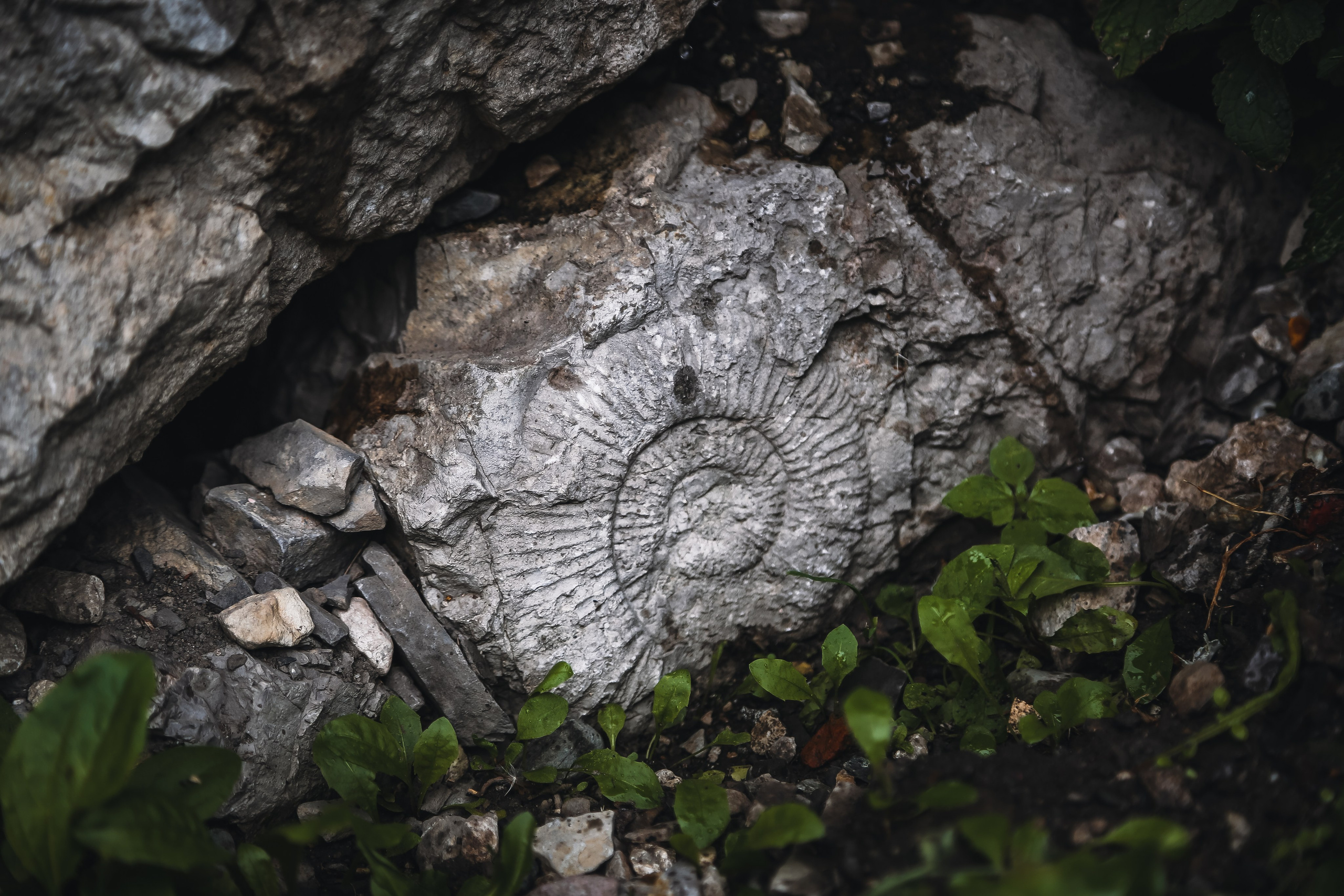 Кавказ: Северная Осетия. Дарья Письменюк / Darya Leitstern — фотограф, музыкант, журналист, путешественник