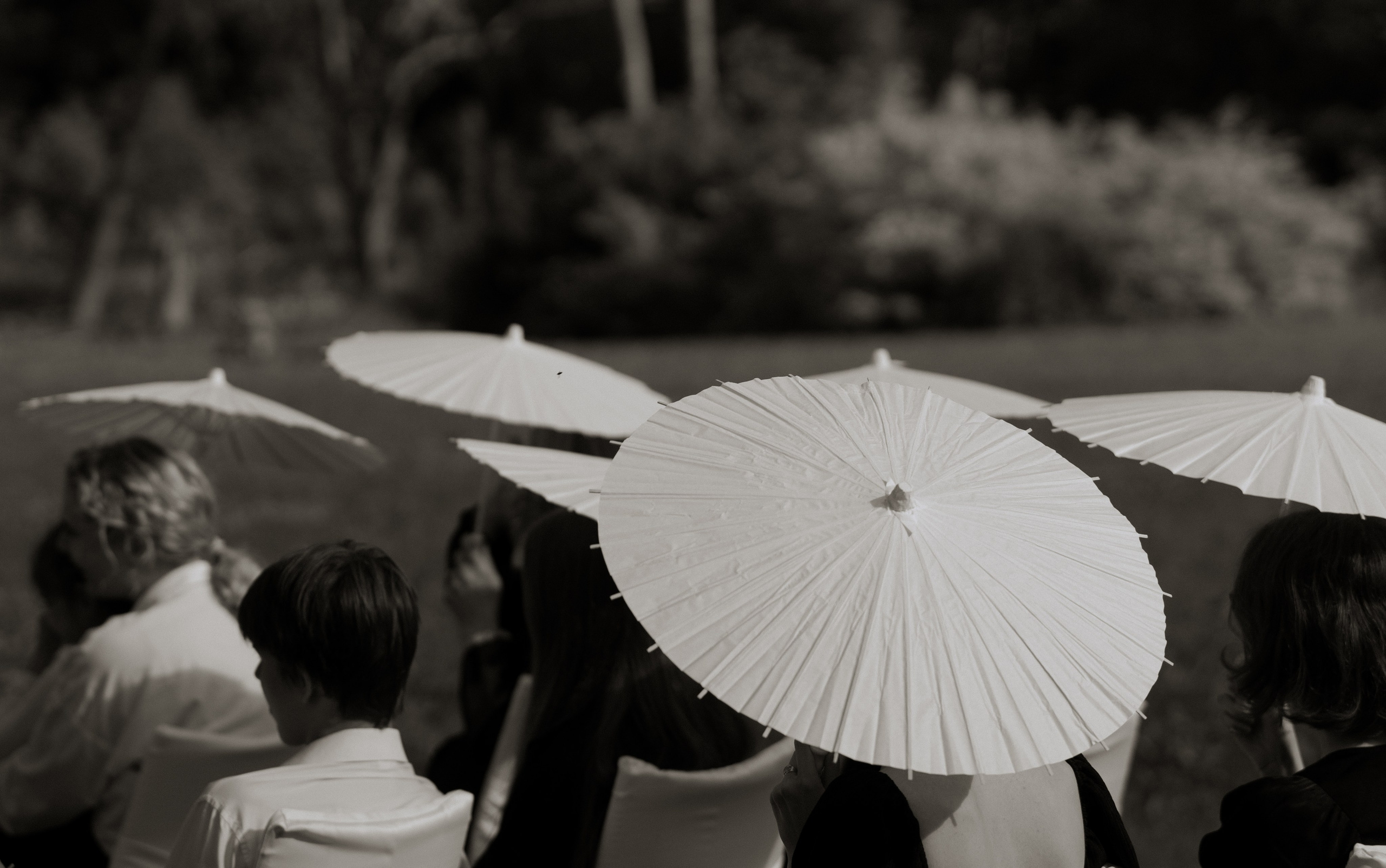 В летнем закате