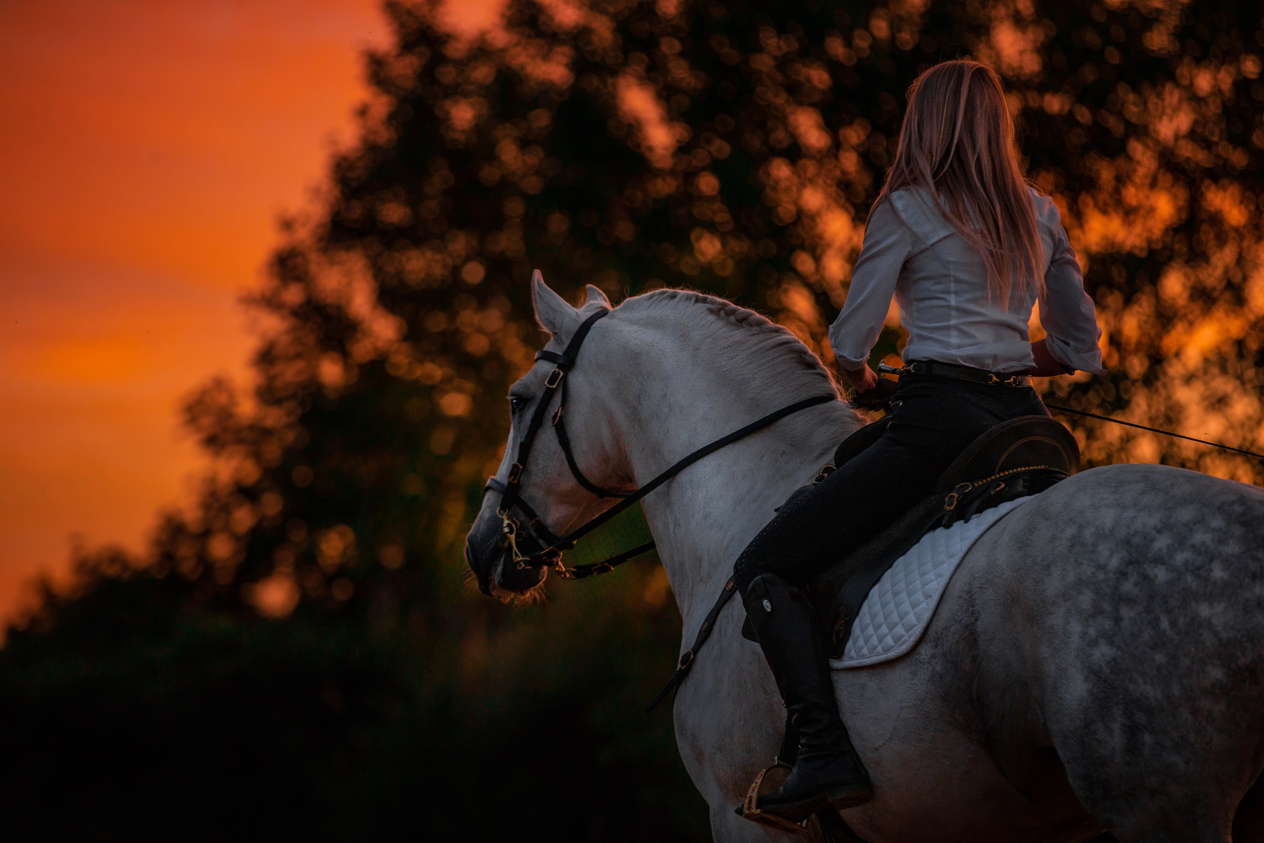 Натали и Цезарь. Фотограф-анималист Ксендзова Кристина