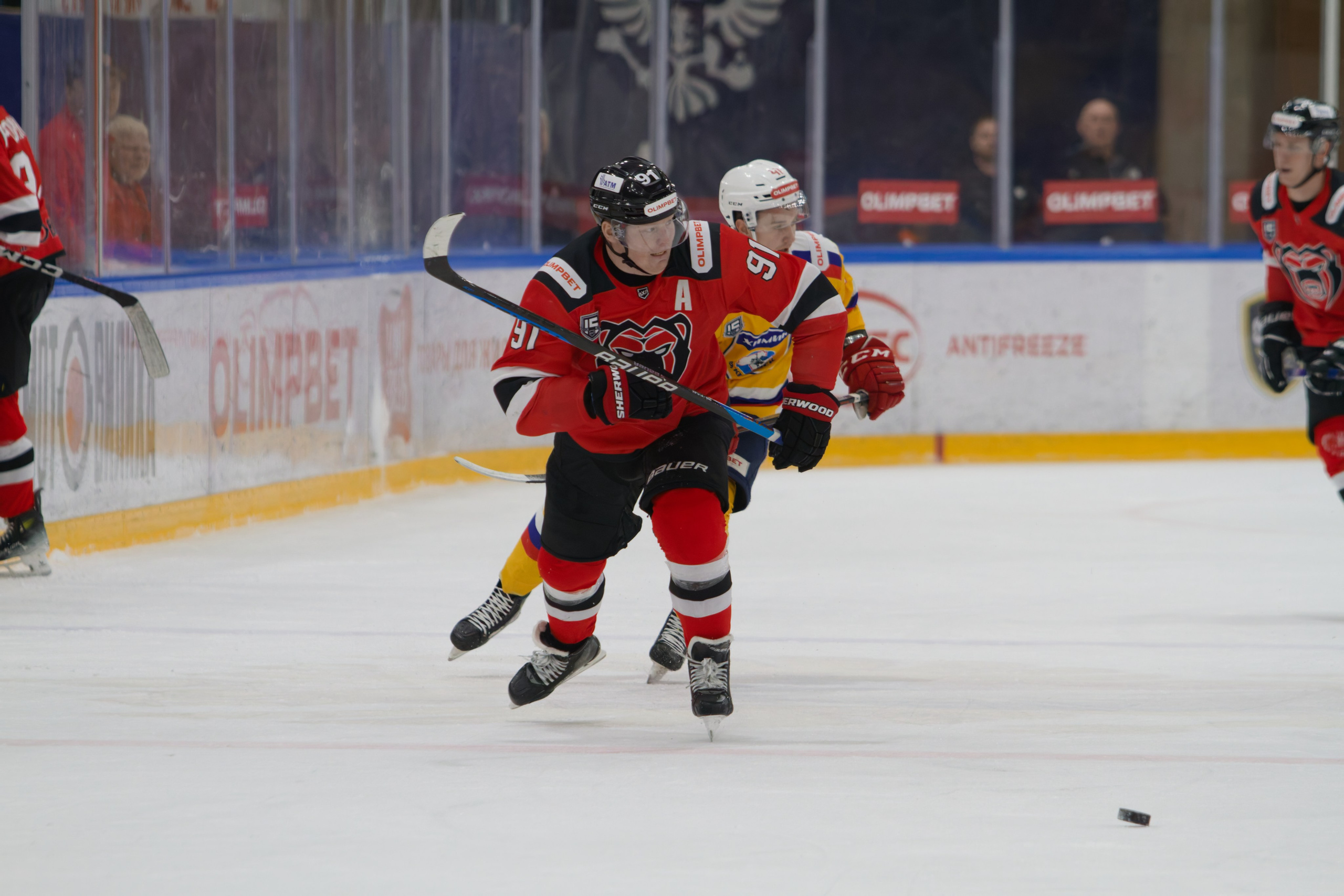 Хоккей. Молот-Химик 12.02.2025. Репортажный и спортивный фотограф в г. Пермь Зильберг Павел