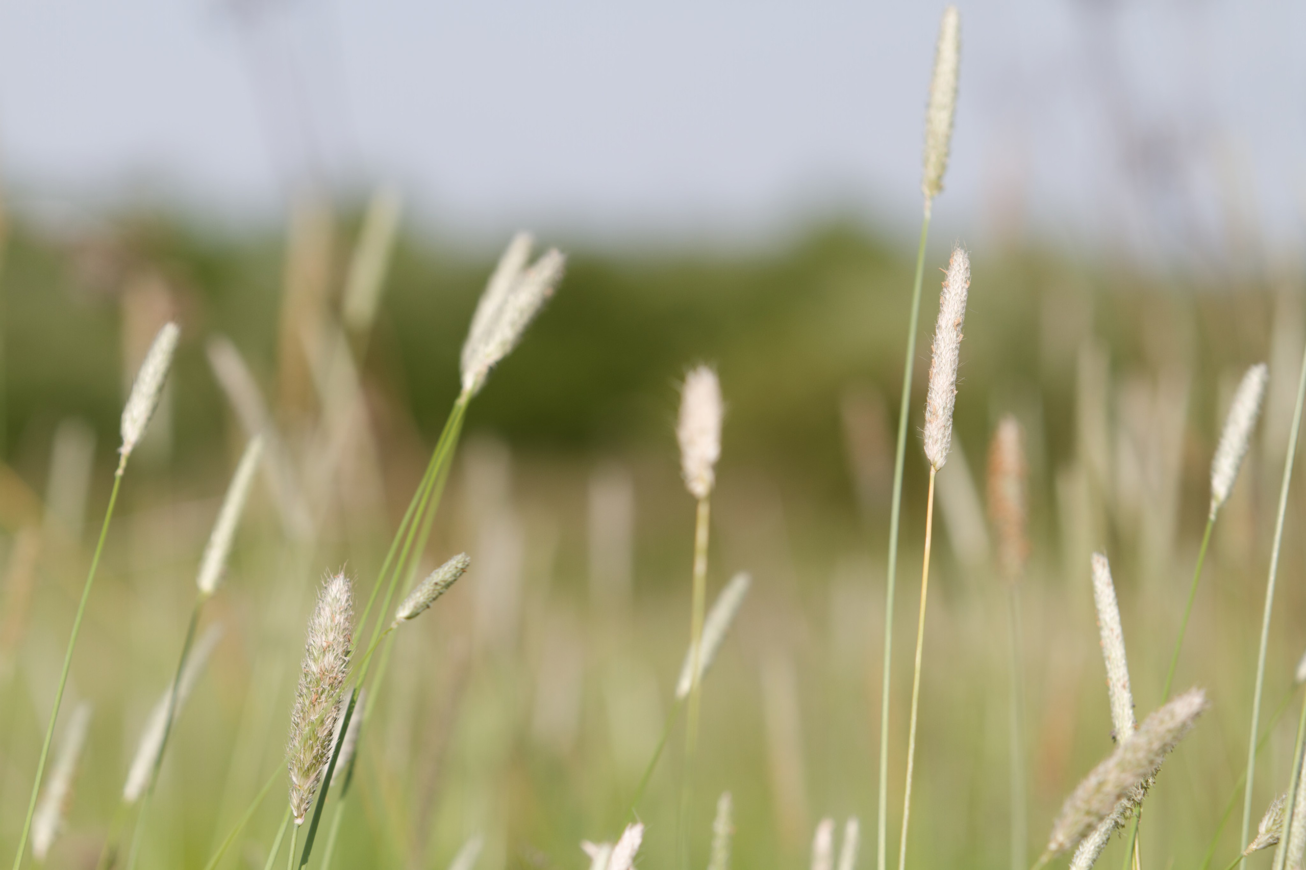 Родео59. Репортажный и спортивный фотограф в г. Пермь Зильберг Павел