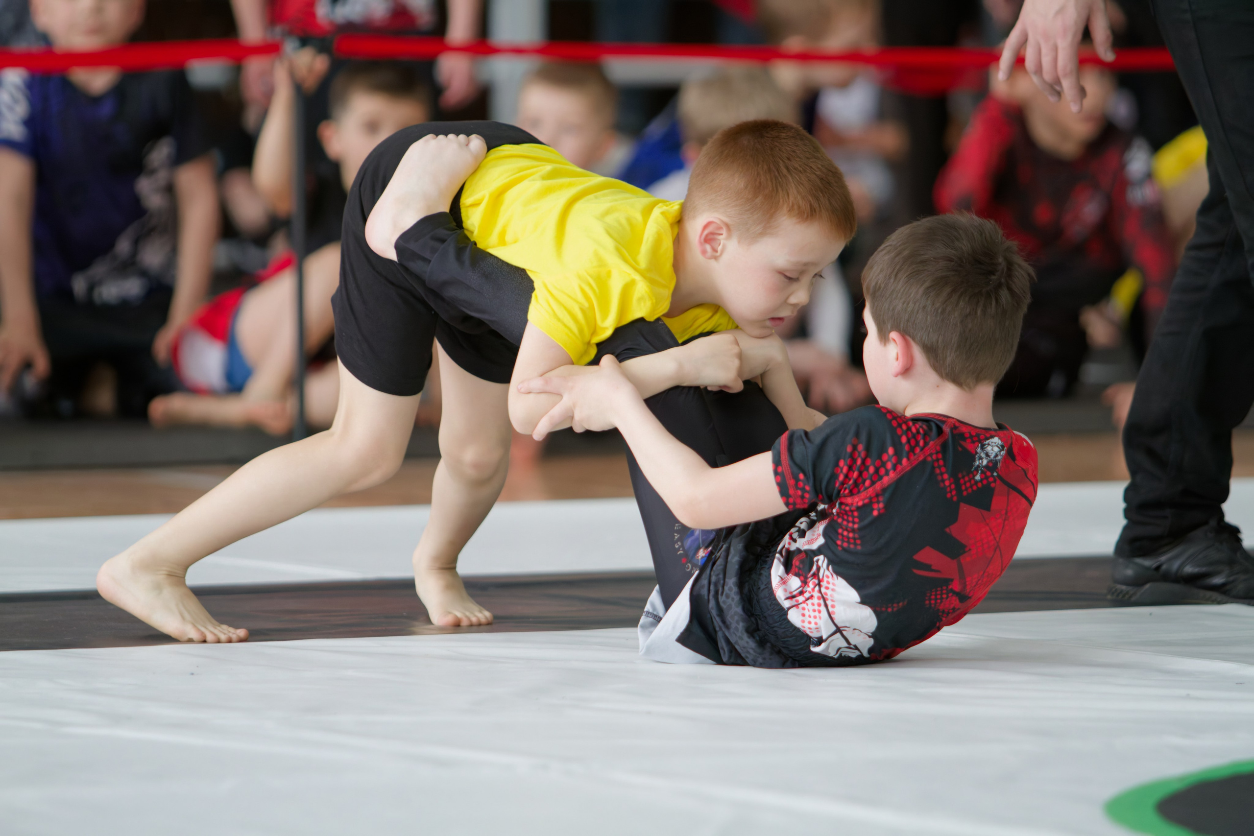 Борьба. Джиу-джитсу 26.04.2025. Репортажный и спортивный фотограф в г. Пермь Зильберг Павел