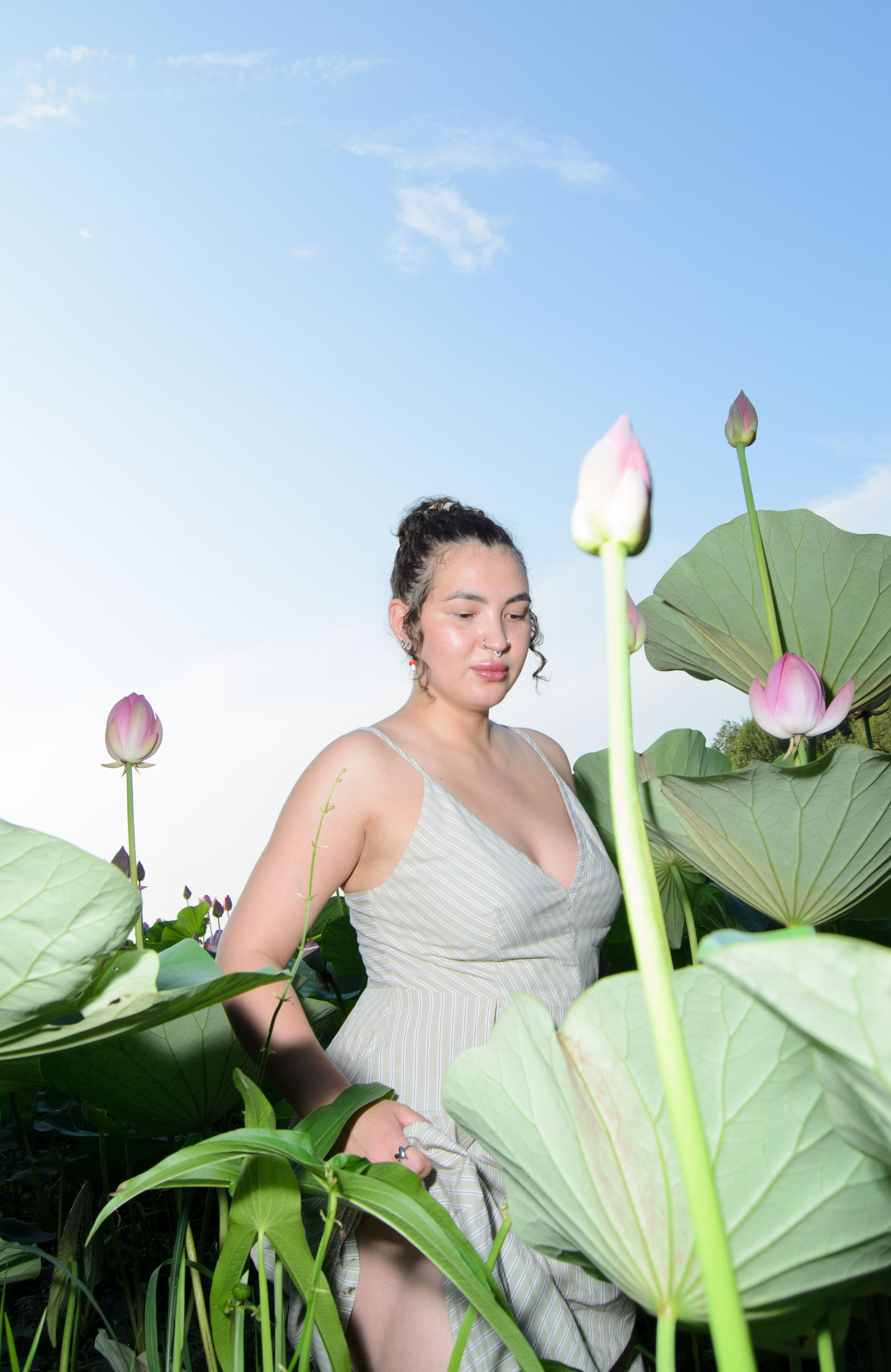 Лотосы. Колентеева Наталья/фотограф