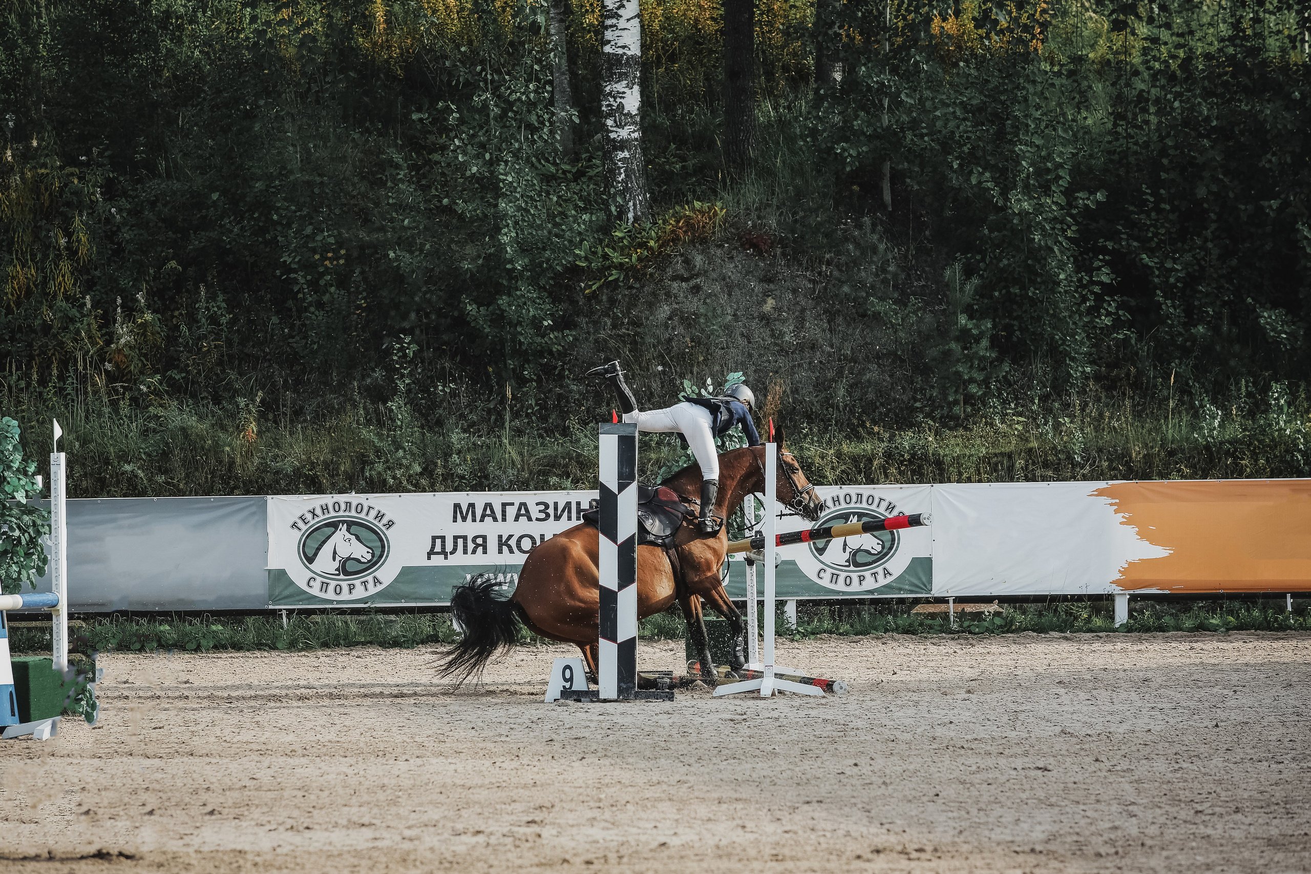 Портфолио Евы Демидовой. Ева Демидова. Спортсмен по конкуру в Санкт-Петербуре