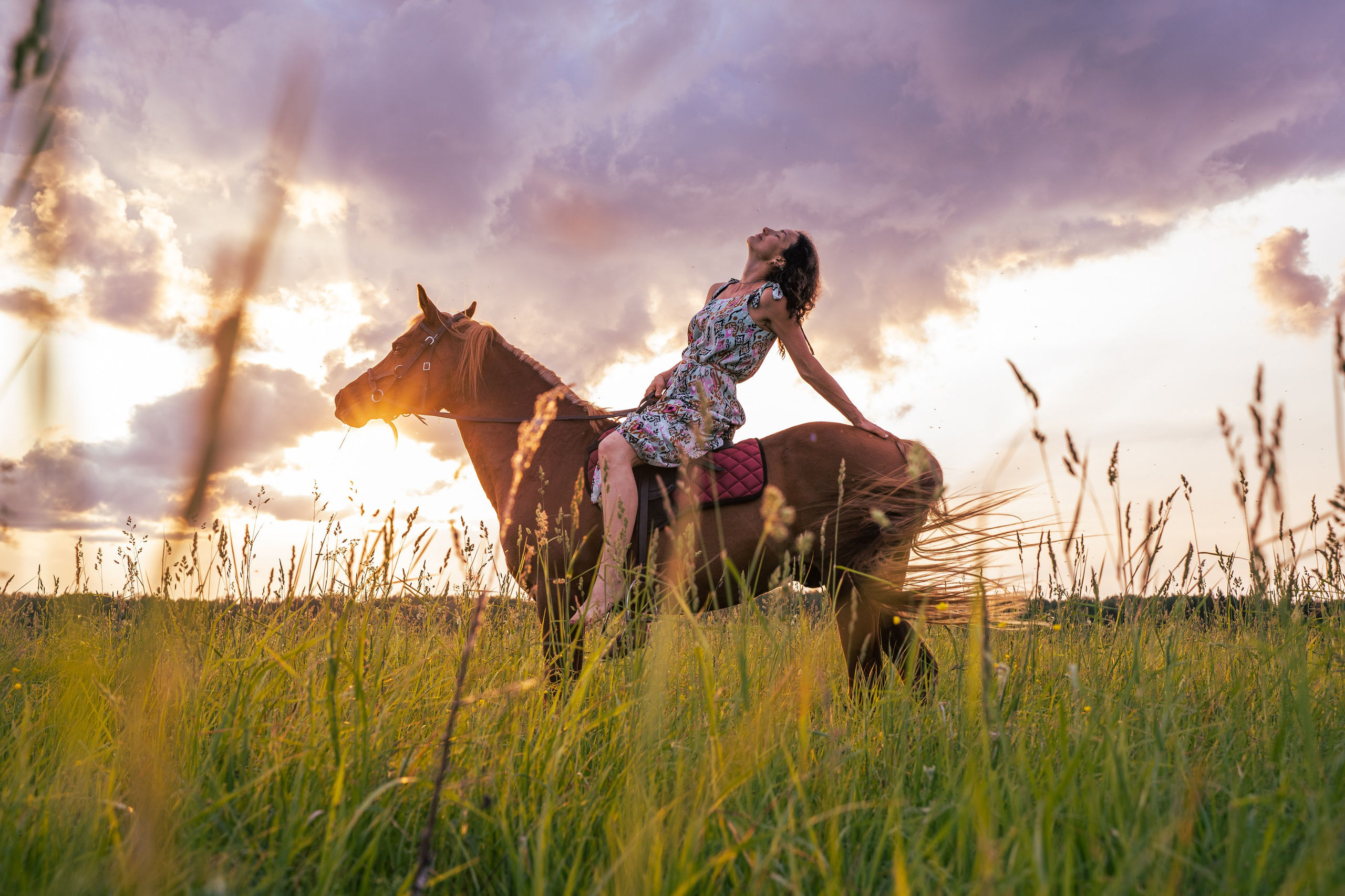 Выйти в лето в поле с конем. Видеограф и фотограф в Москве Анастасия Рябчикова