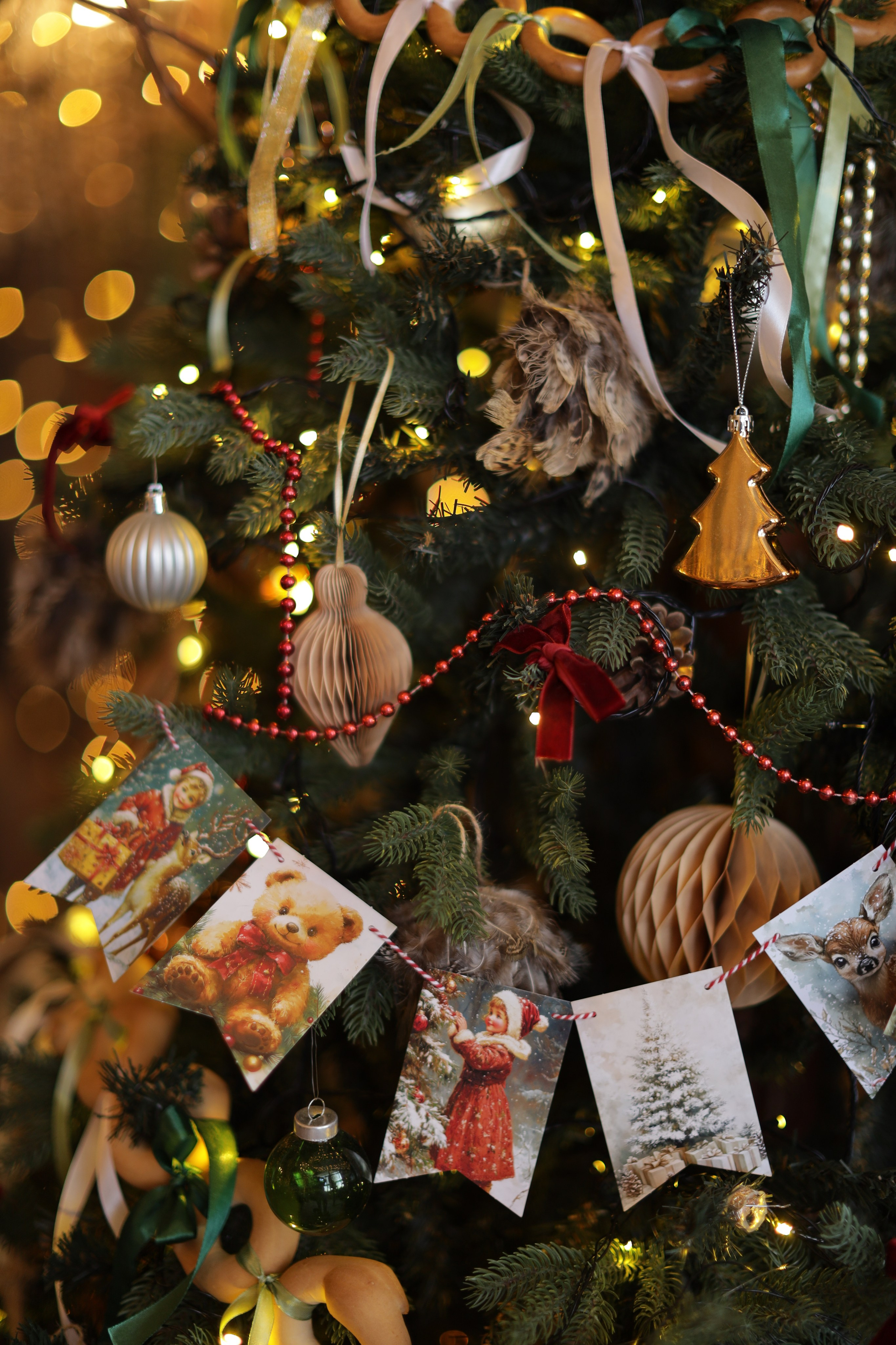 Фотостудия «Роял» зал Теплица. Свадебный фотограф в Ростове Александра Груздева