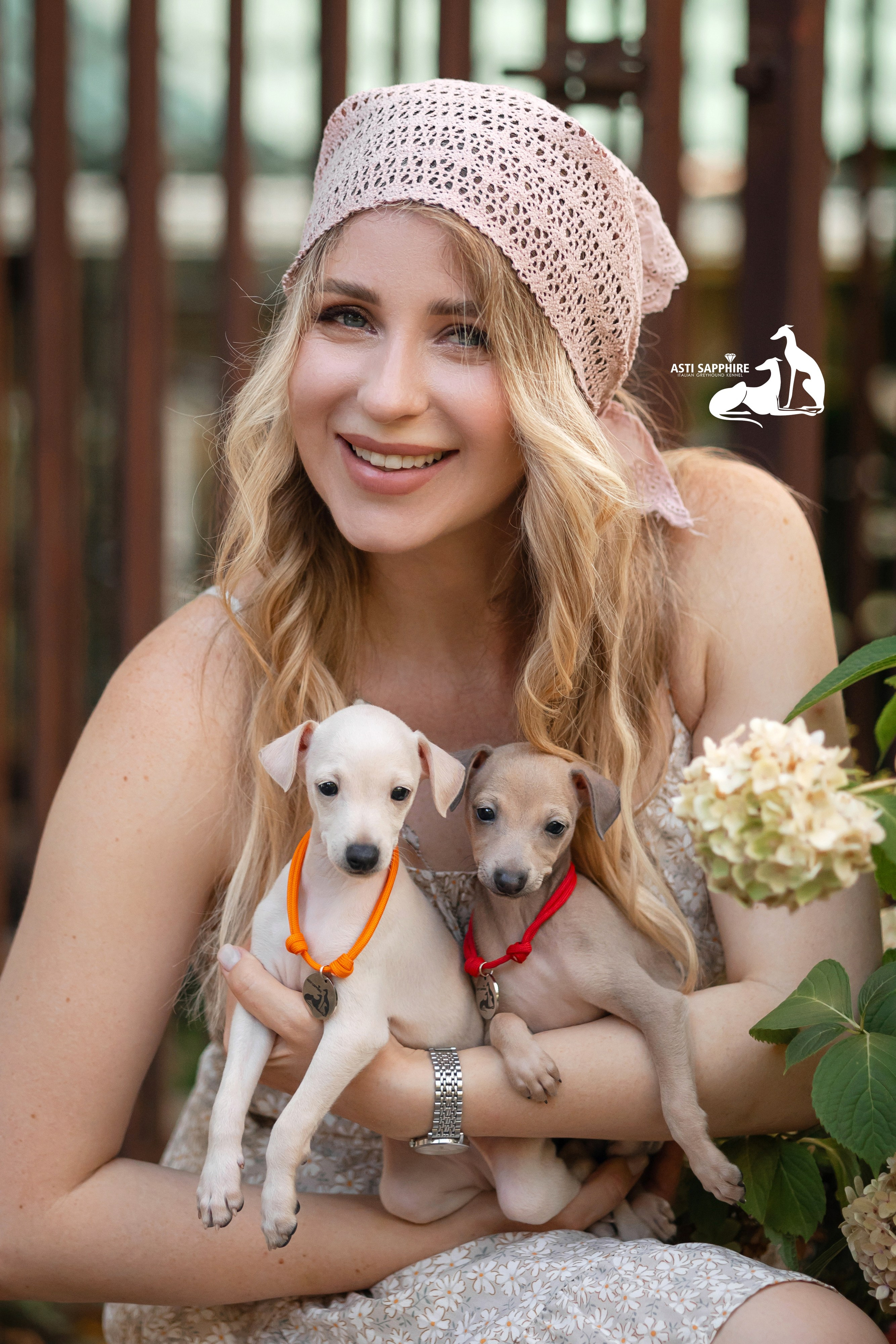 Левретки летом. Фотограф-анималист в Краснодаре Маша Мельникова