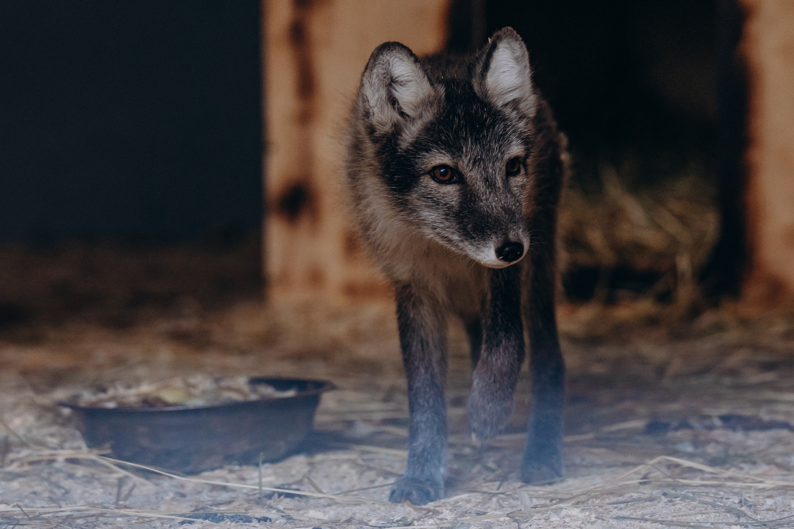 СЕВЕР. Event фотограф Степанова Александра
