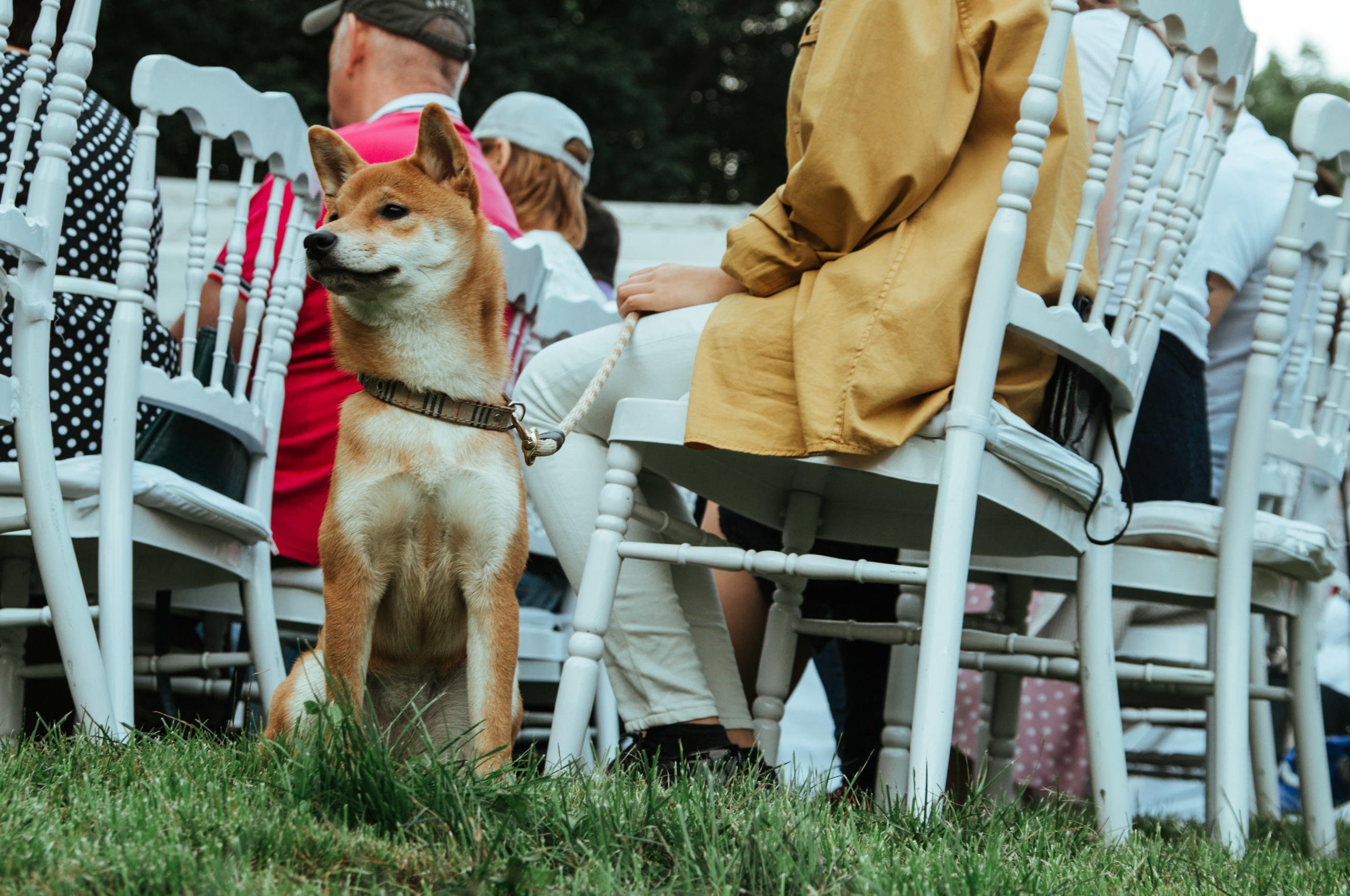 Свадьба Сергея и Екатерины. Свадебный и портретный фотограф в Комсомольске-на-Амуре Сергей Лазарен
