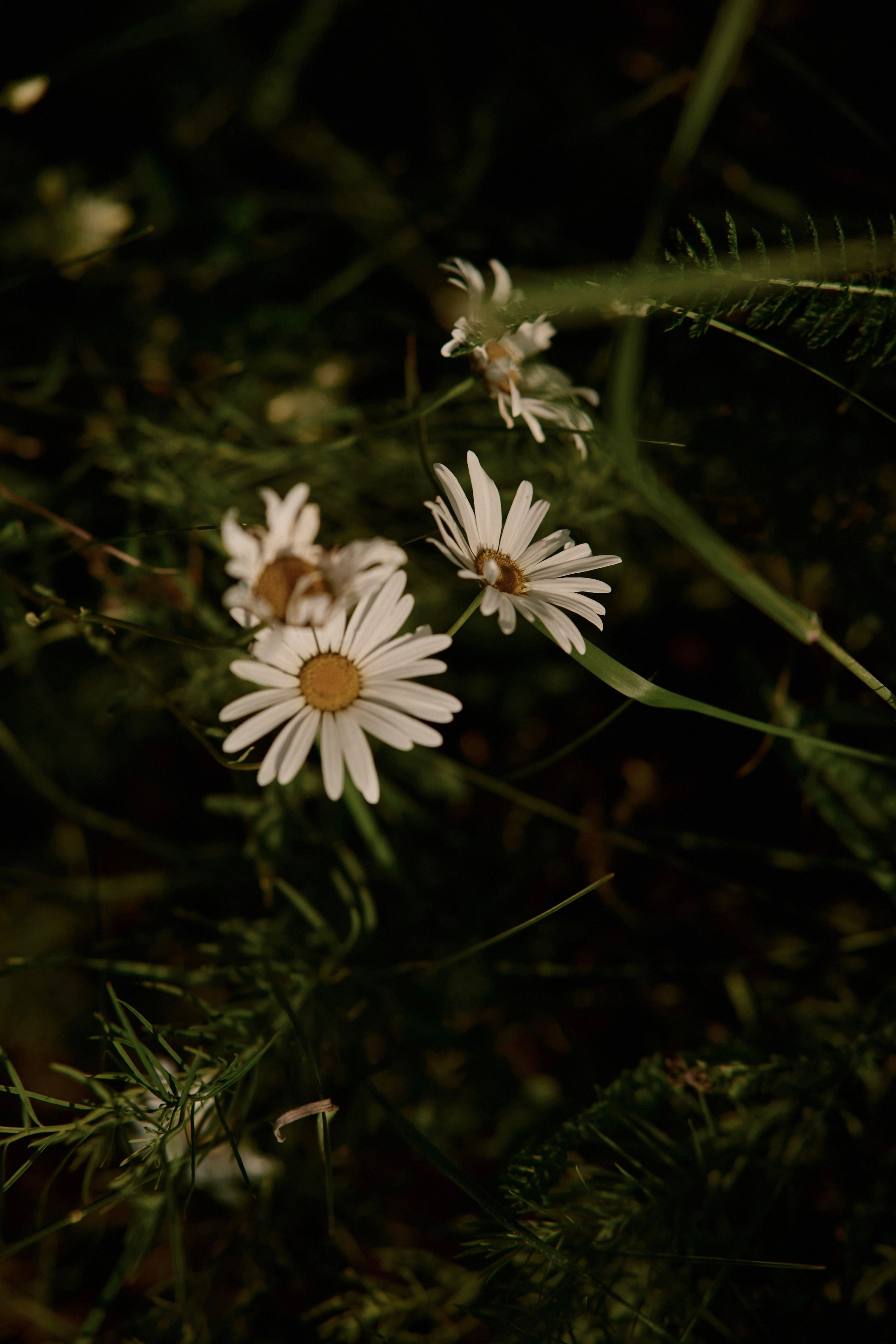 Лена и Есения. Семейный и свадебный lifestyle-фотограф в Москве Мария Петрова