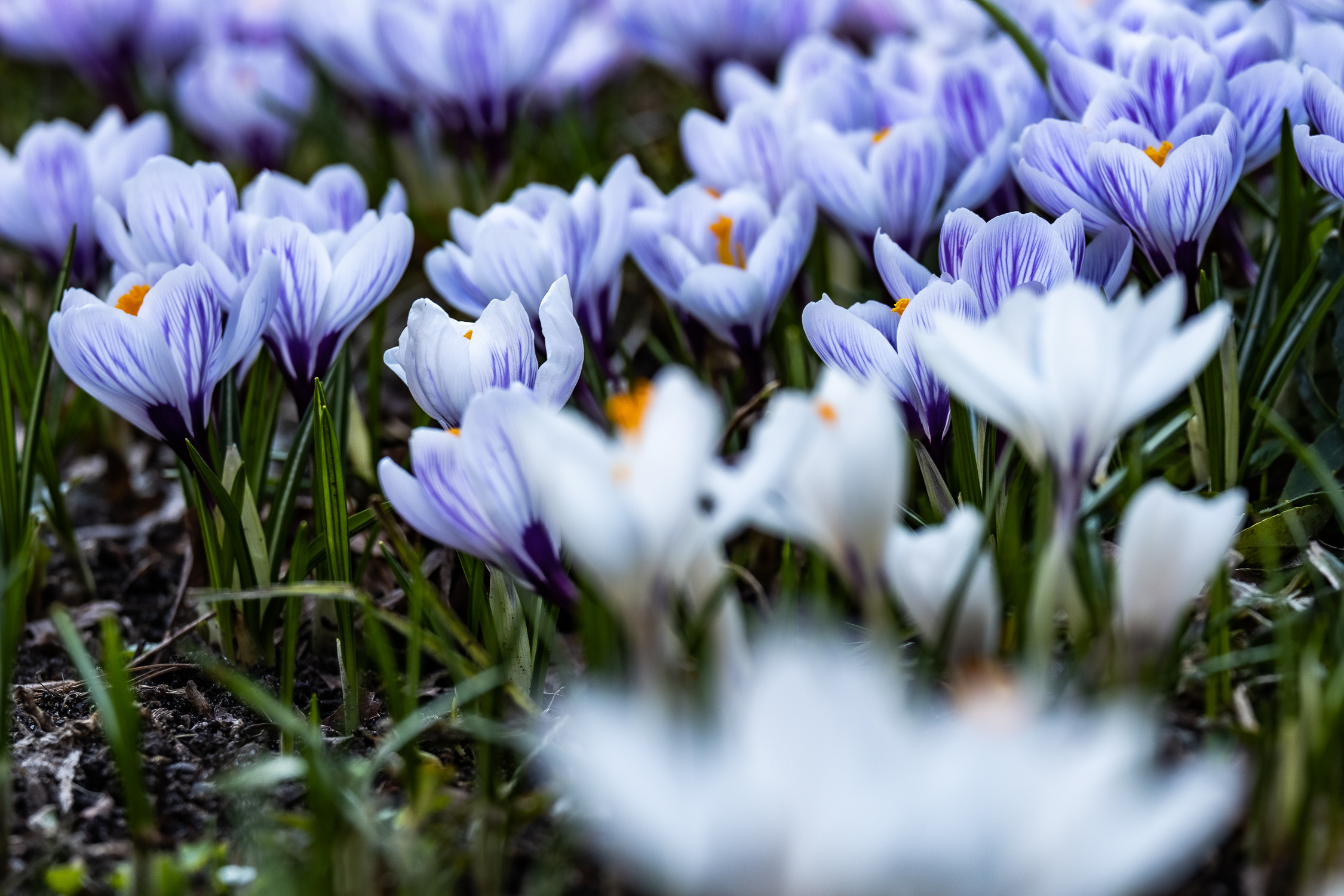 Фотограф в Москве Ирина Иванова