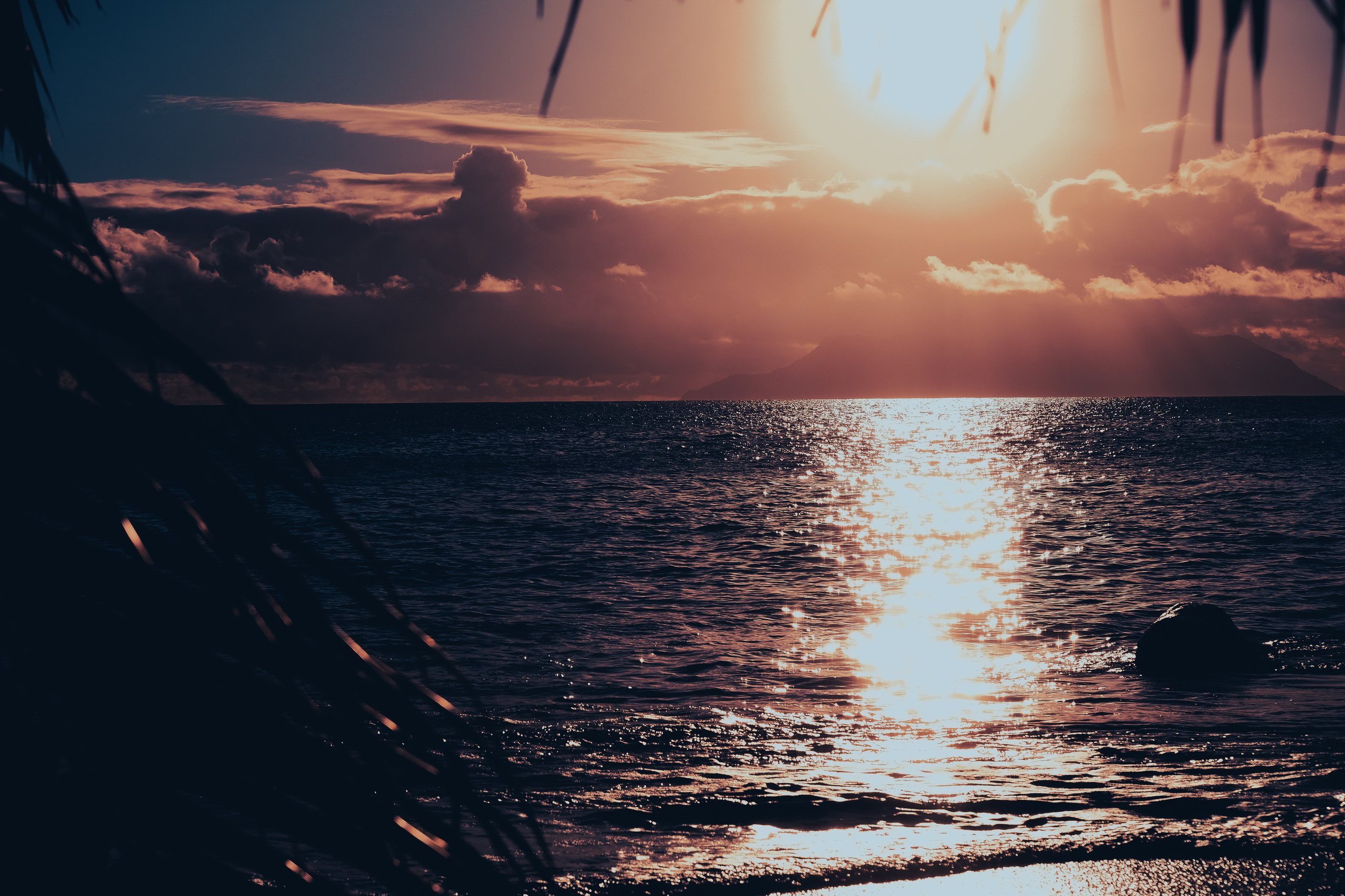 Солнце и море. Фотограф в Москве Ирина Иванова