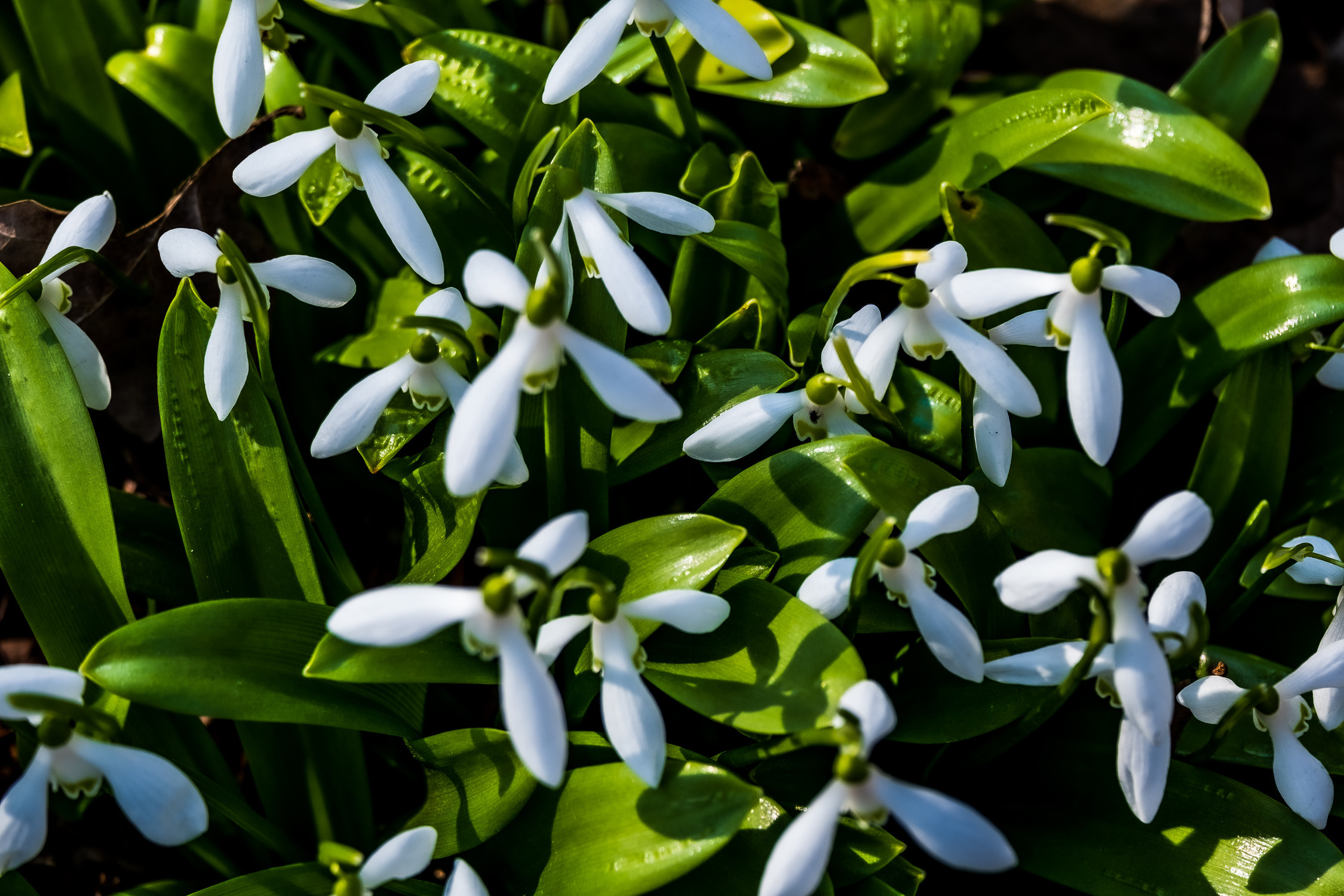 Фотограф в Москве Ирина Иванова