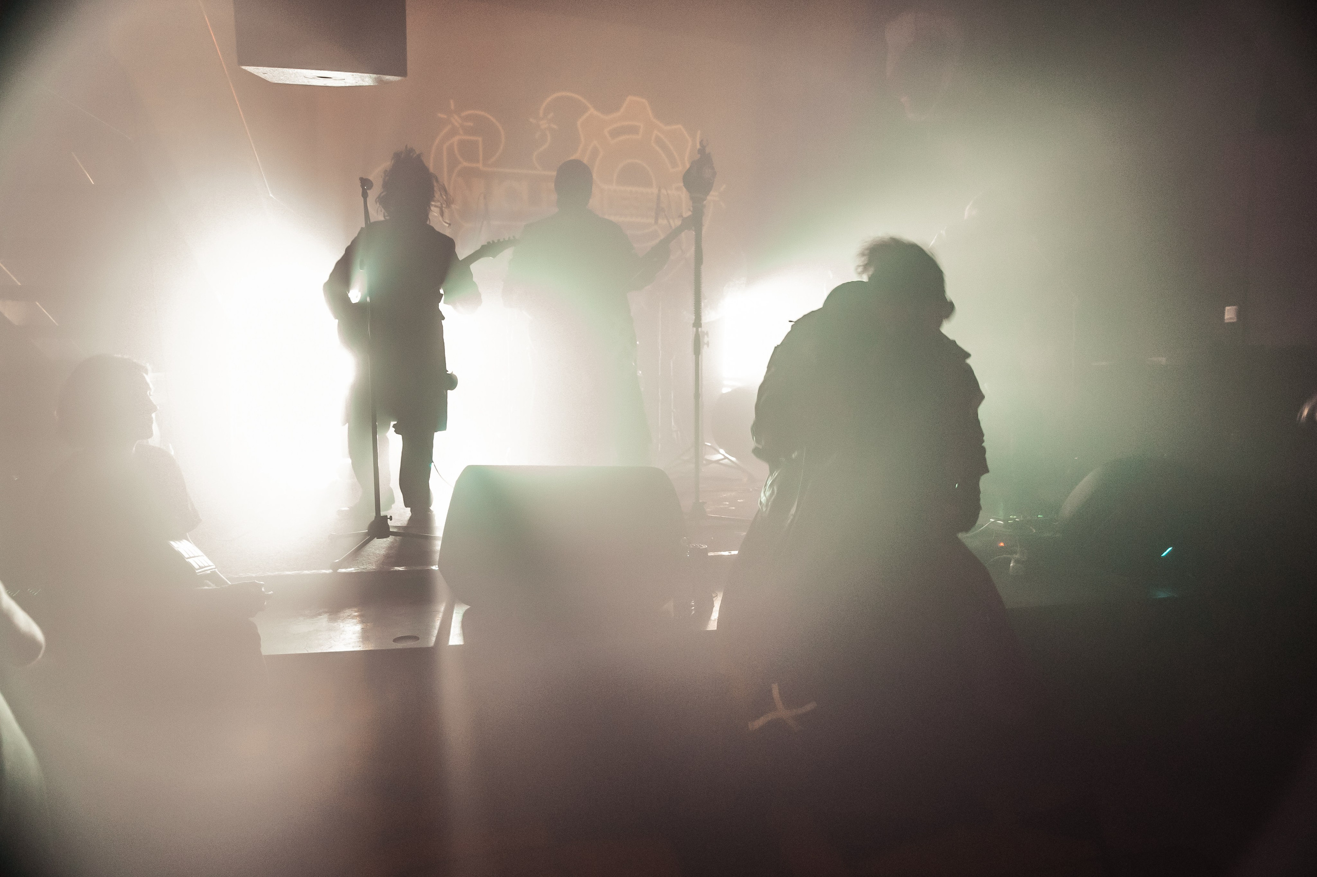 Nuclear desert. Rock night, 30.05.2025, Эрмитаж. Фотограф Регина Крикунова г. Красноярск