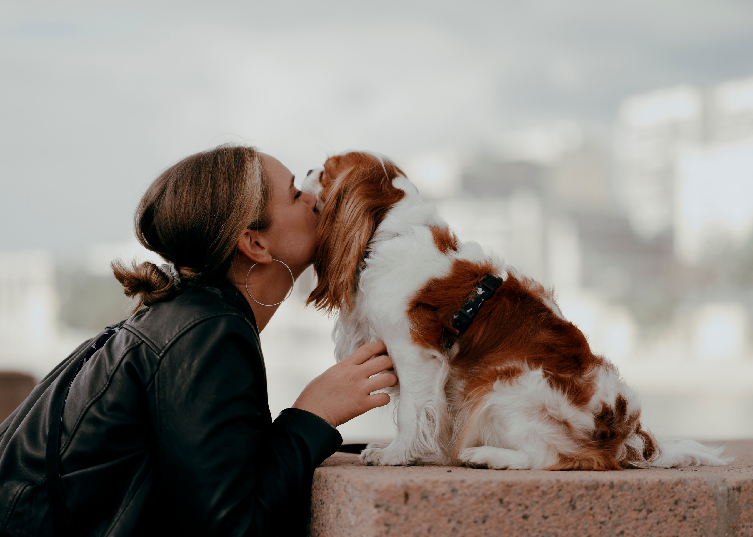 Дольче. Фотограф- анималист Александра Матвеева