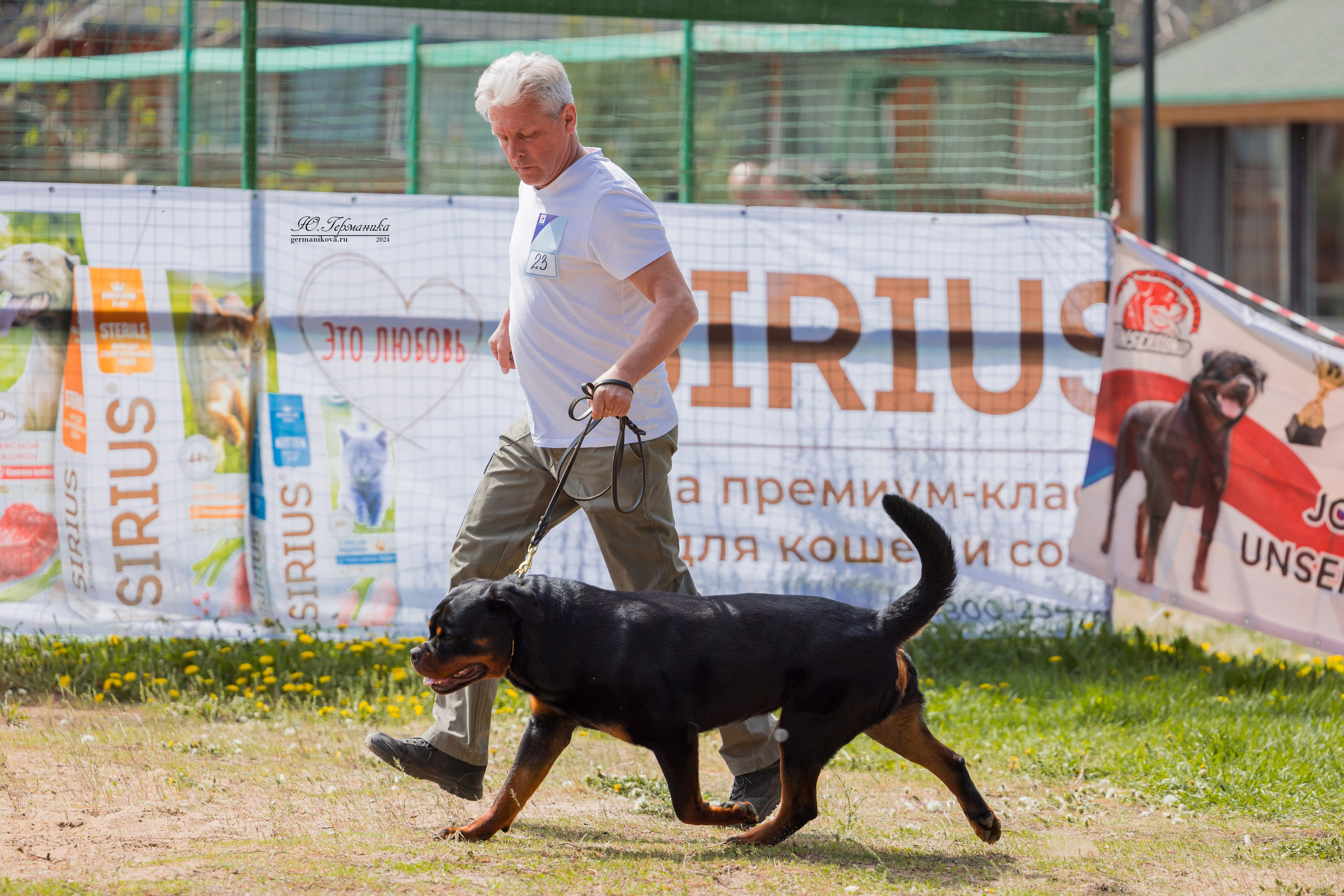 Саратов 2 х моно ротвейлеров 28-29.04.2024. Фотограф-анималист Юлия Германика
