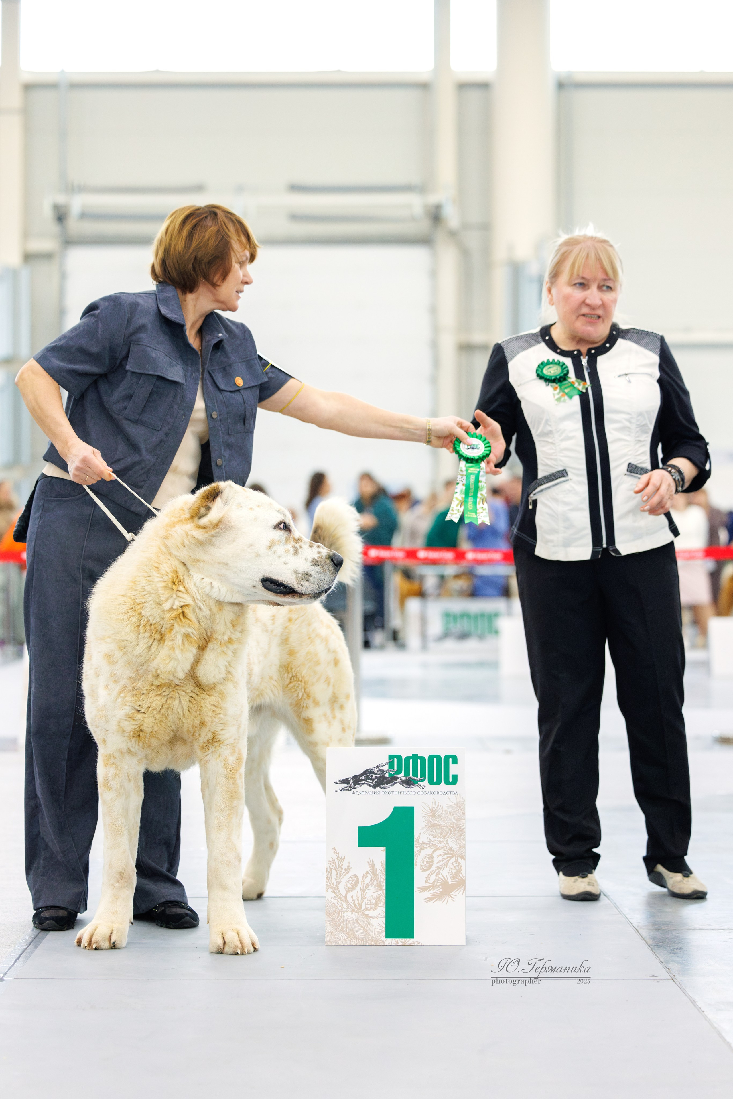 Сабанеевка Казань 25-26.01.2025. Фотограф-анималист Юлия Германика