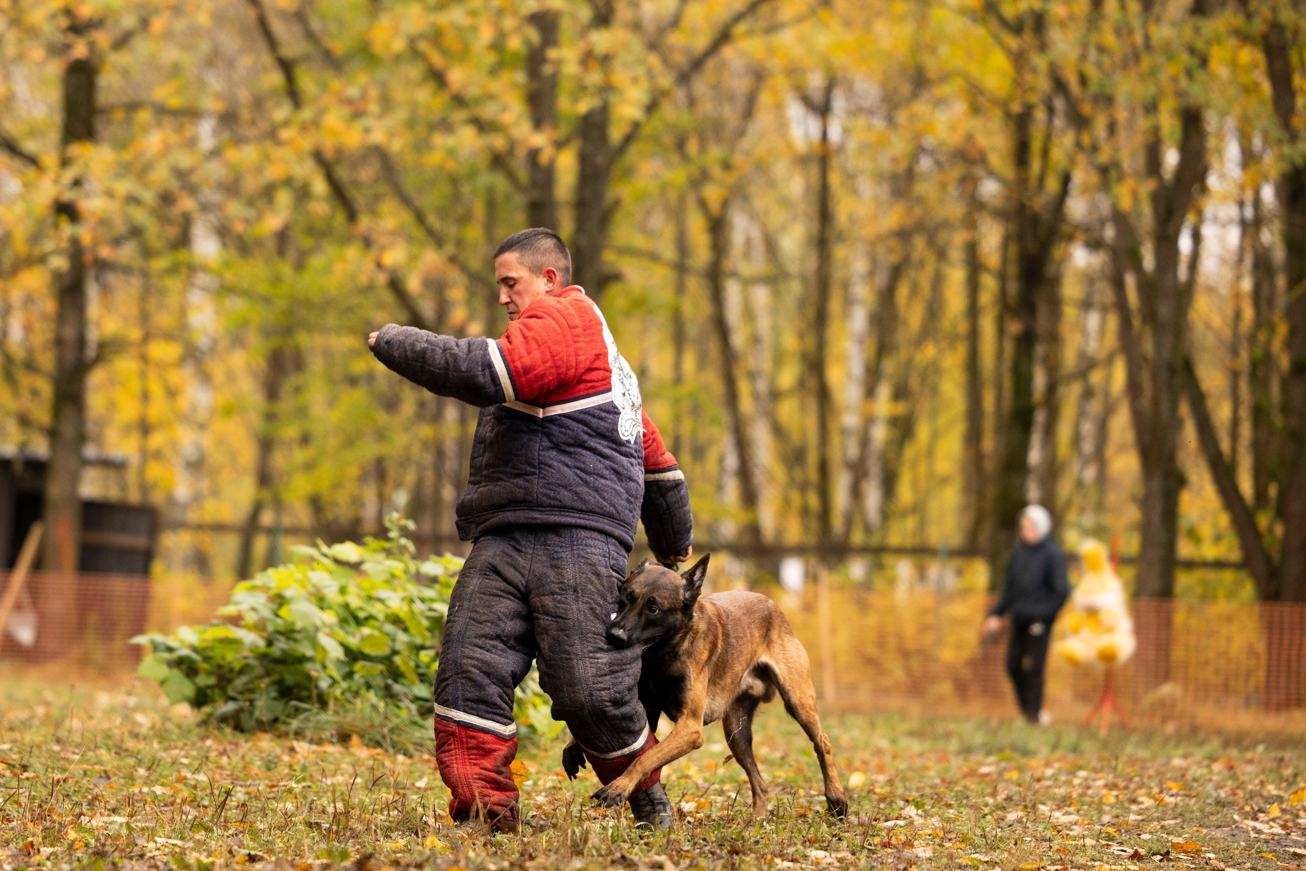 Соревнования по Мондьорингу г. Вологда. Фотограф-анималист Анна Маринич