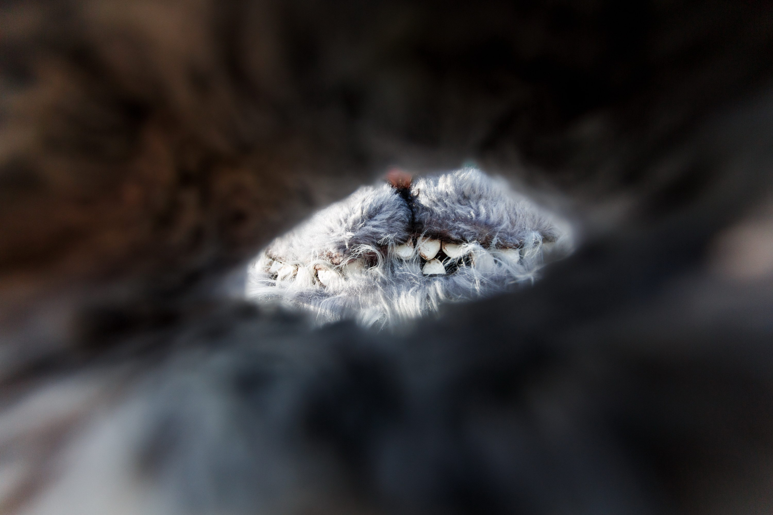 Катя и Саша. Фотограф Иван Недорез