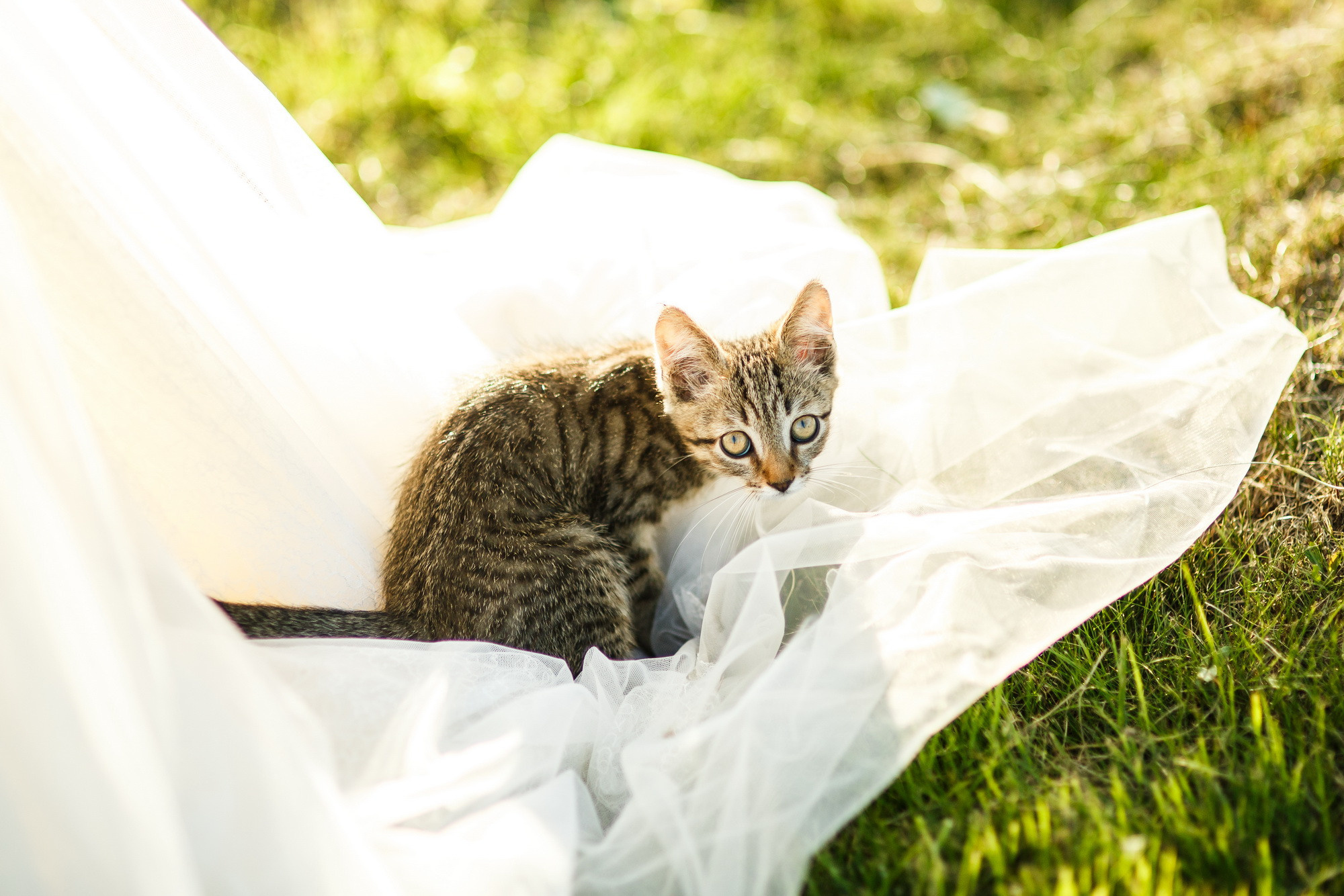 Катя и Андрей. Фотограф Иван Недорез