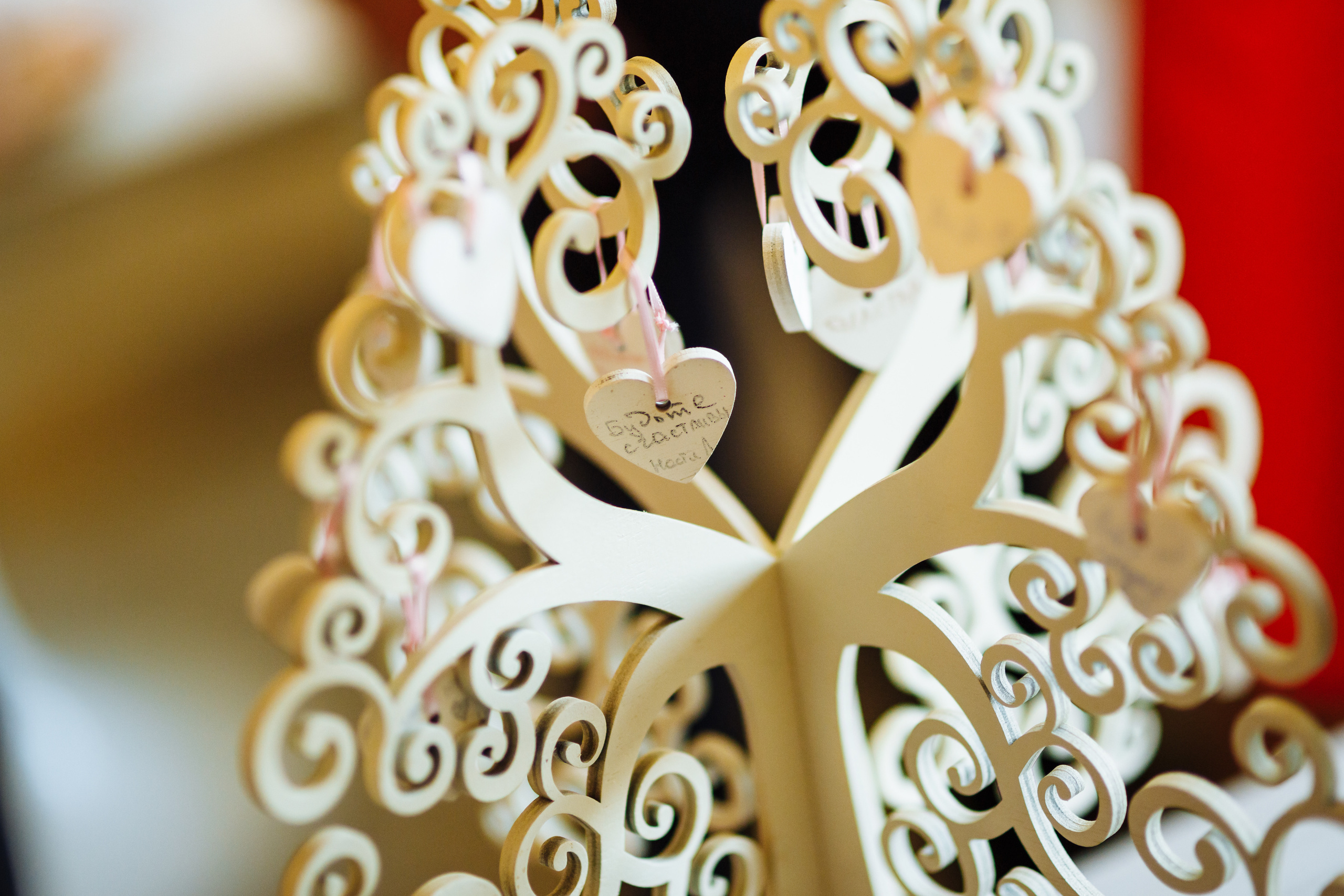 Фотосъемка свадьба Дарья и Виталий. Фотограф Иван Недорез