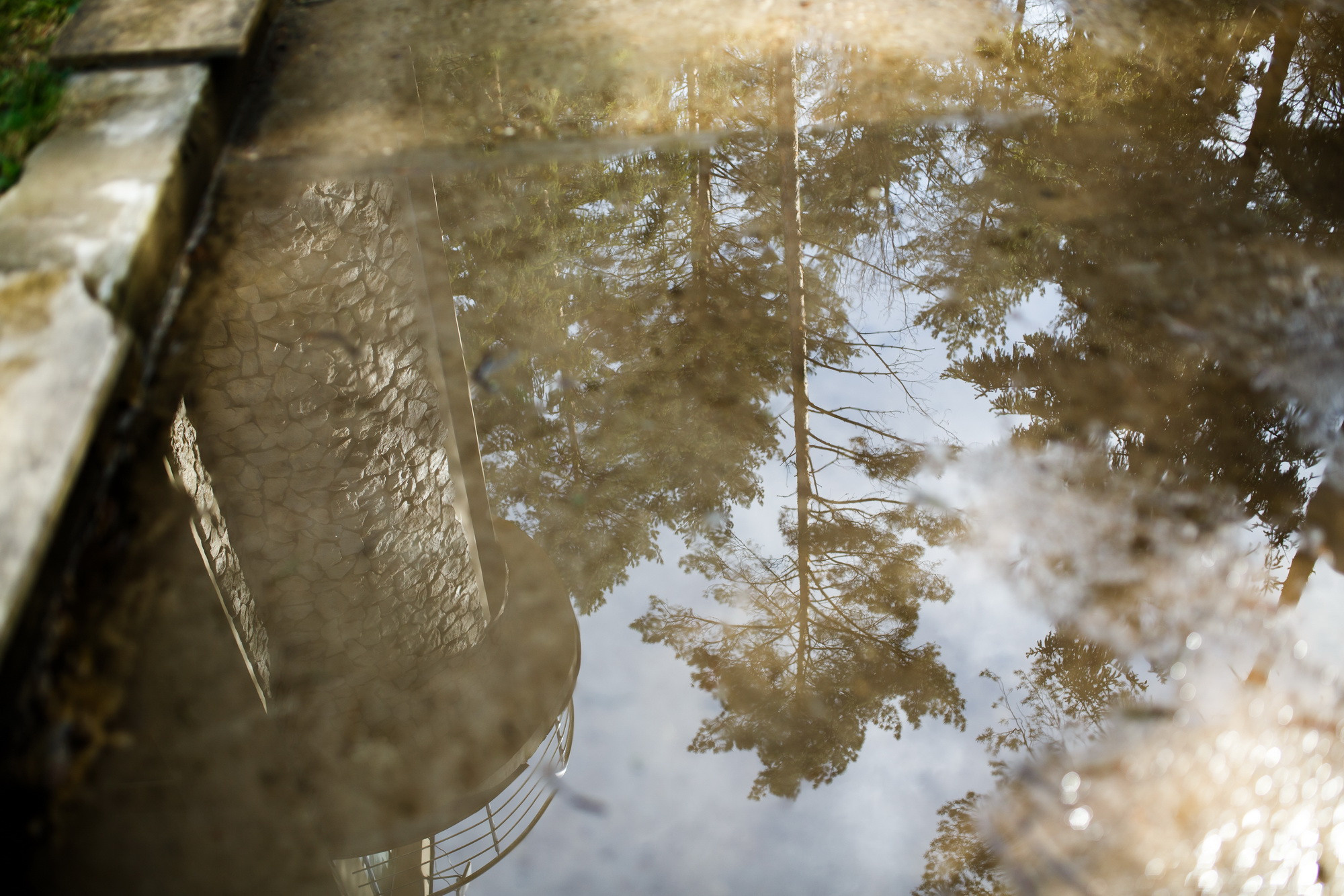 Инна и Олег. Фотограф Иван Недорез