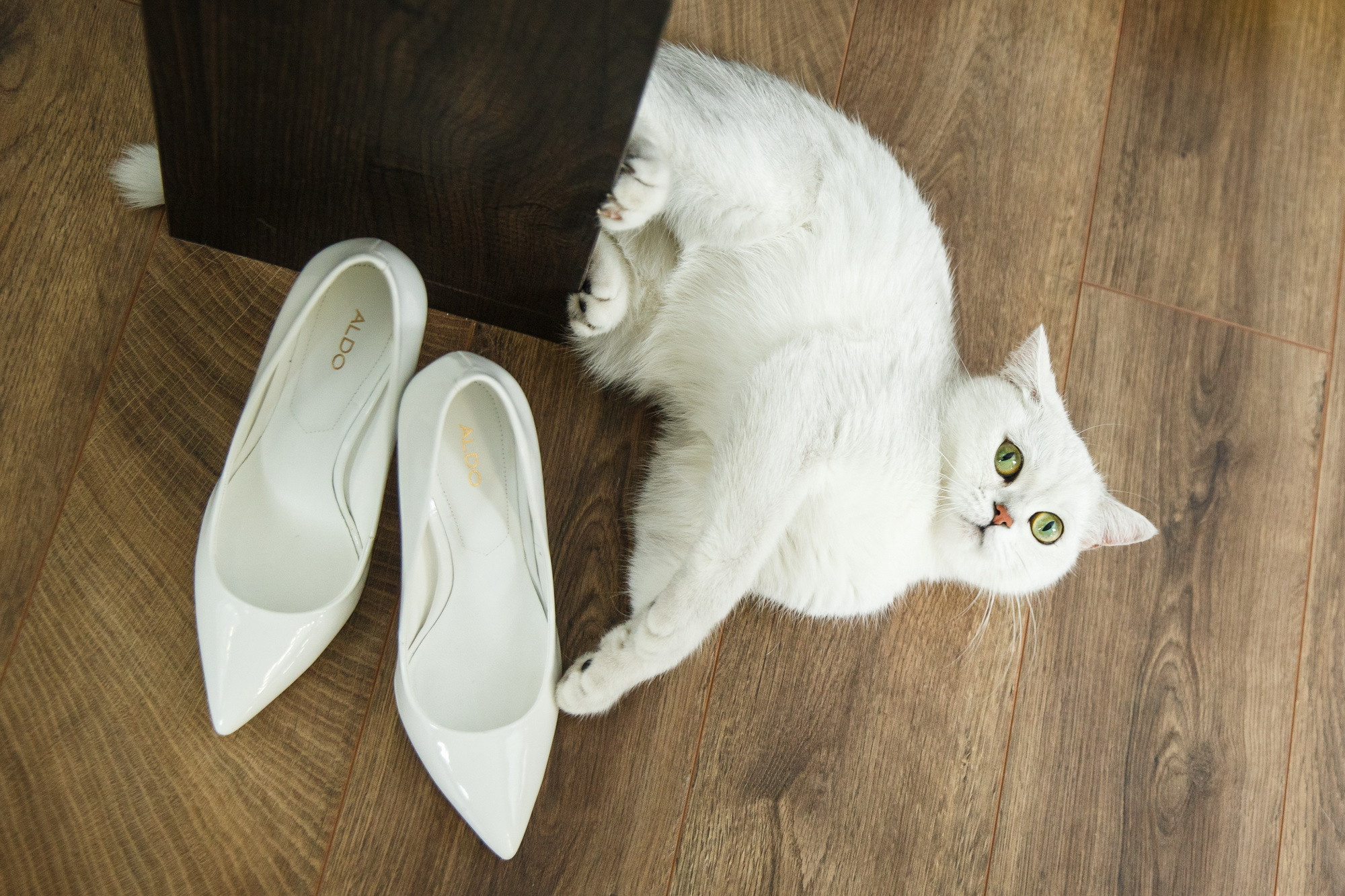 Катя и Андрей. Фотограф Иван Недорез