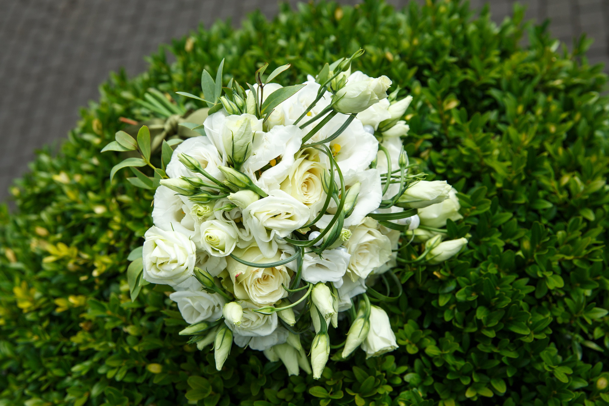 Катя и Андрей. Фотограф Иван Недорез