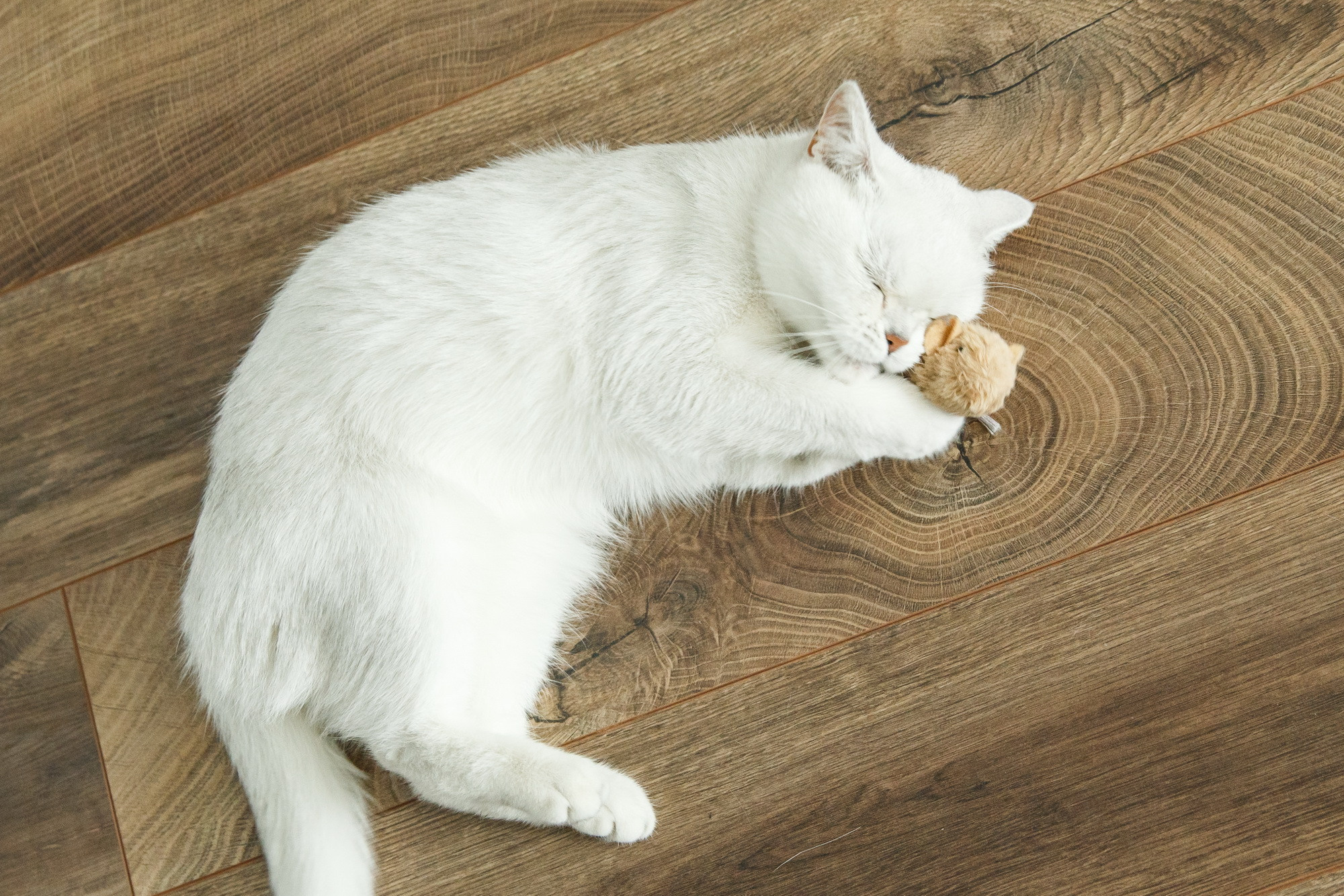 Катя и Андрей. Фотограф Иван Недорез