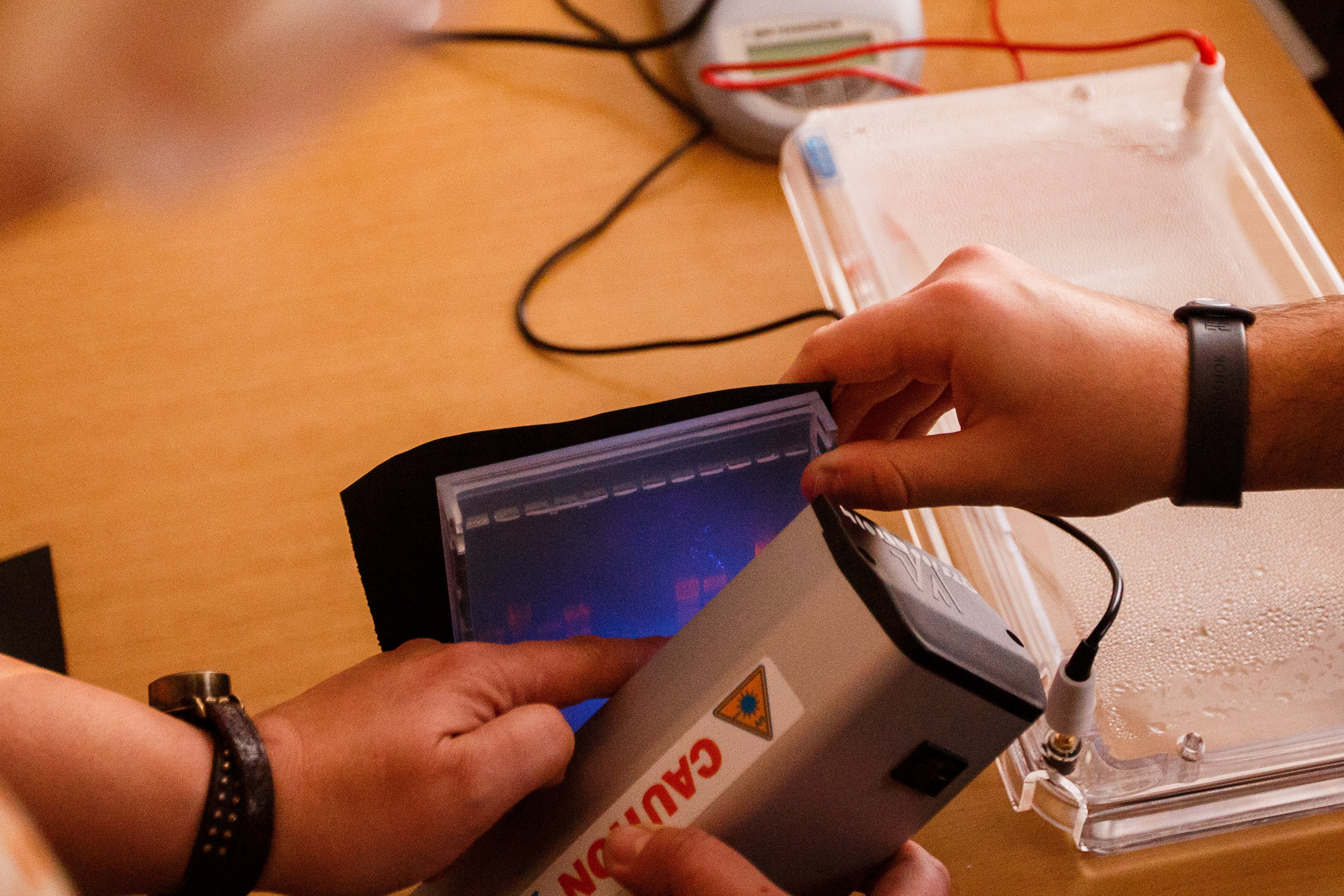 #ДеньБиотехнологий AMGEN. Фотограф Иван Недорез