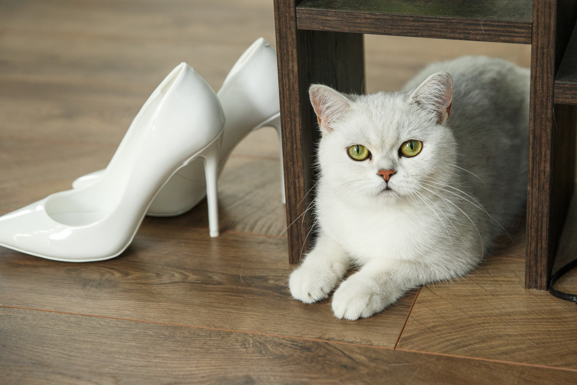 Катя и Андрей. Фотограф Иван Недорез