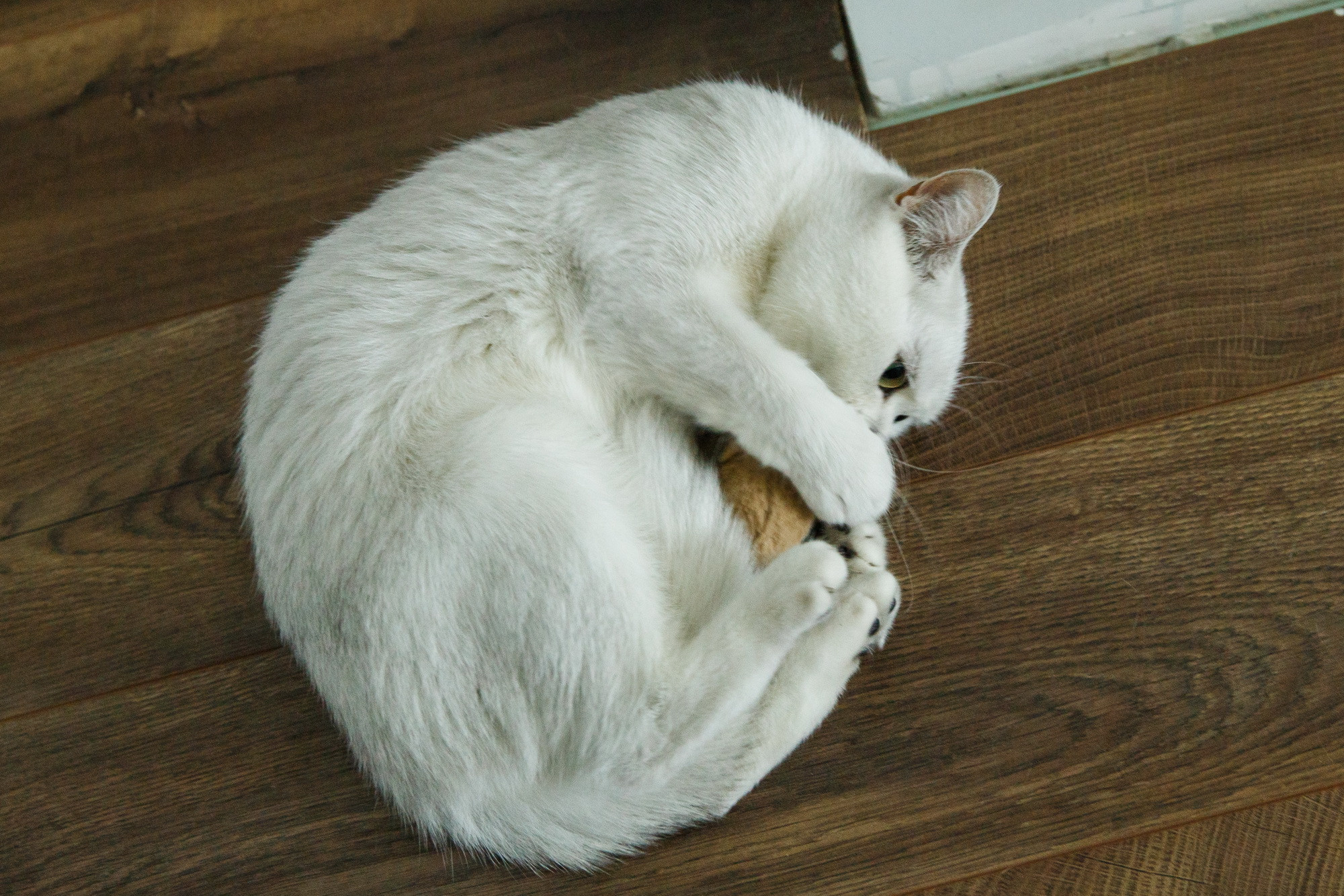 Катя и Андрей. Фотограф Иван Недорез