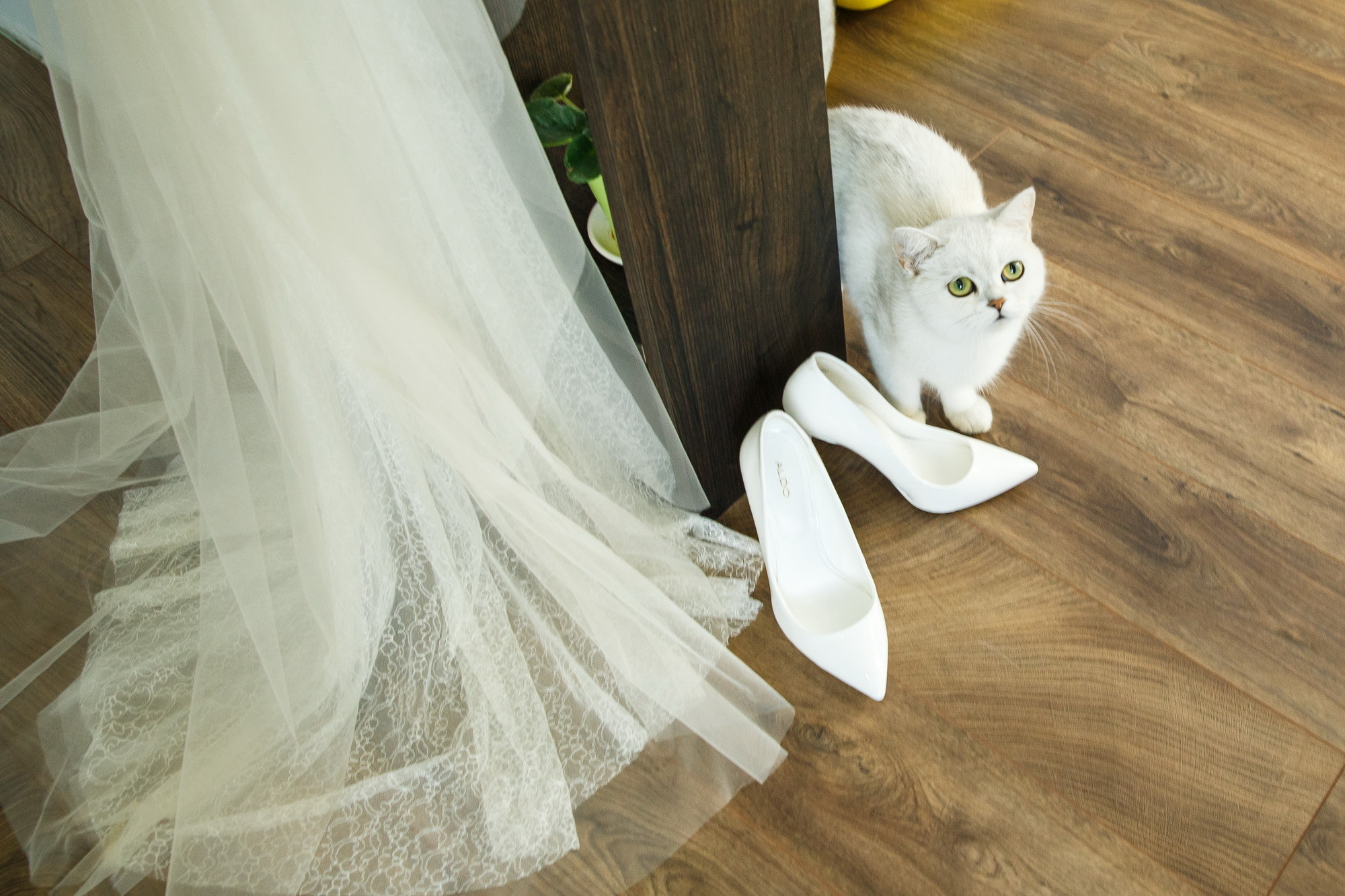 Катя и Андрей. Фотограф Иван Недорез