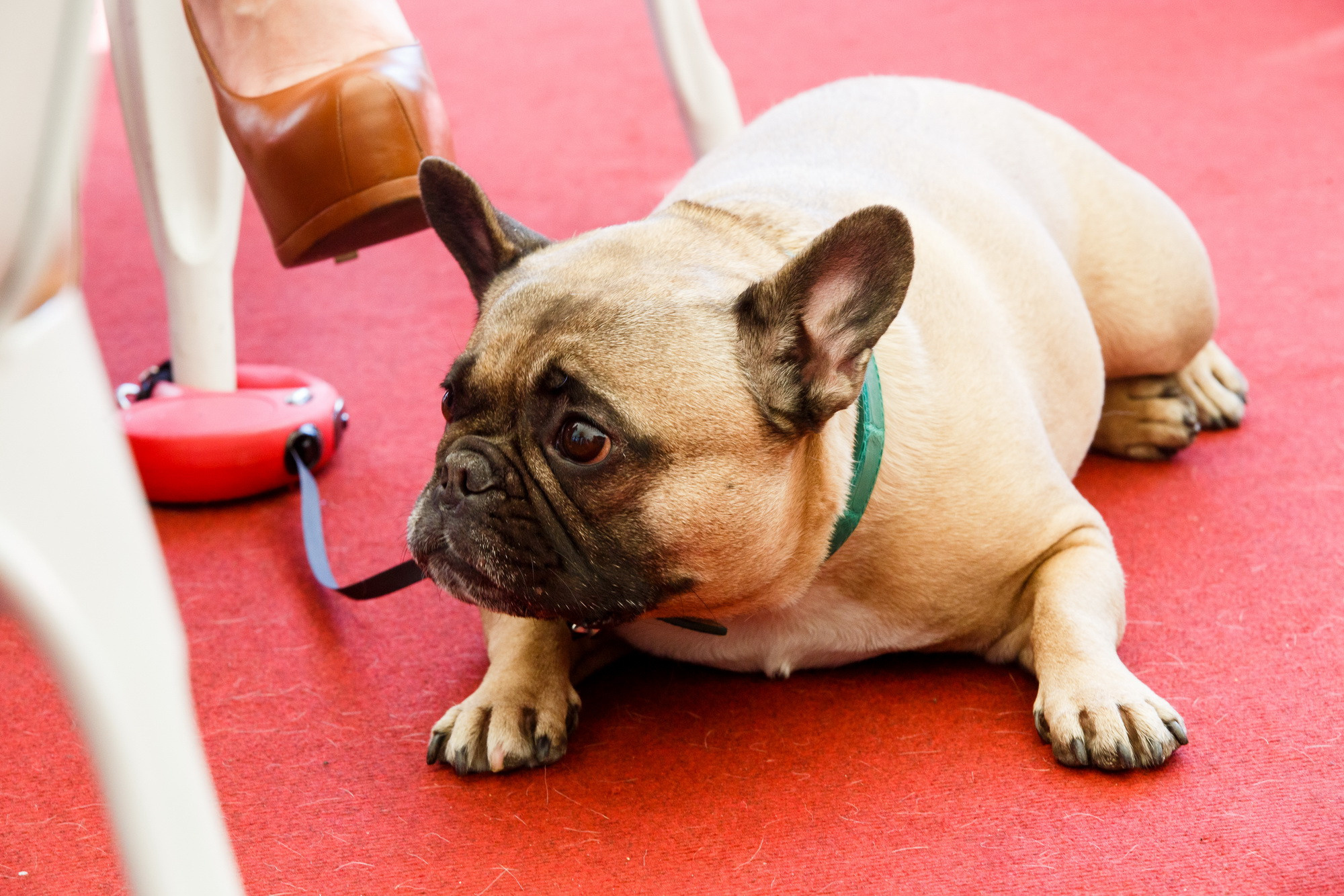 Усадьба JAZZ 2018. Фотограф Иван Недорез