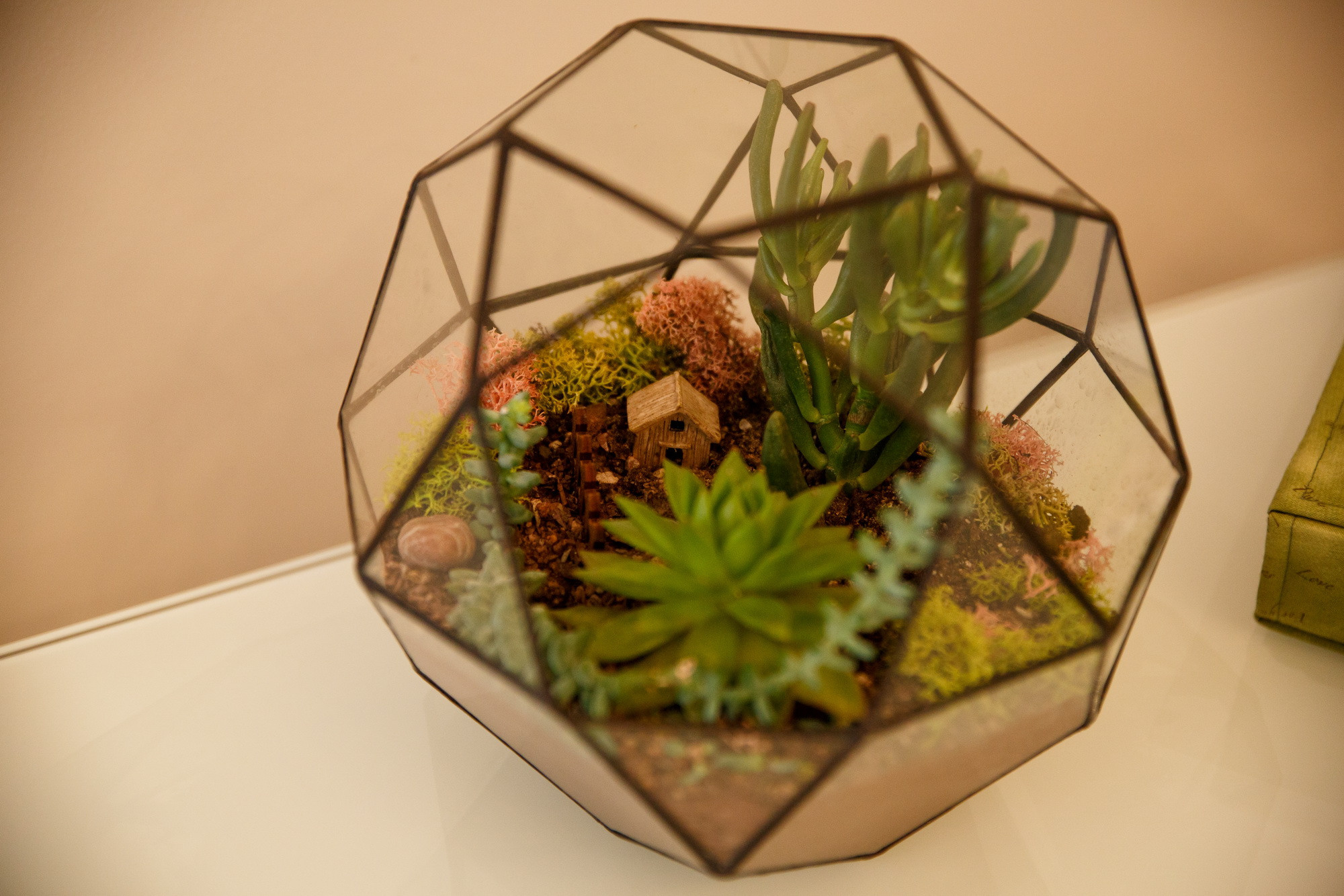 Аня и Сергей. Фотограф Иван Недорез