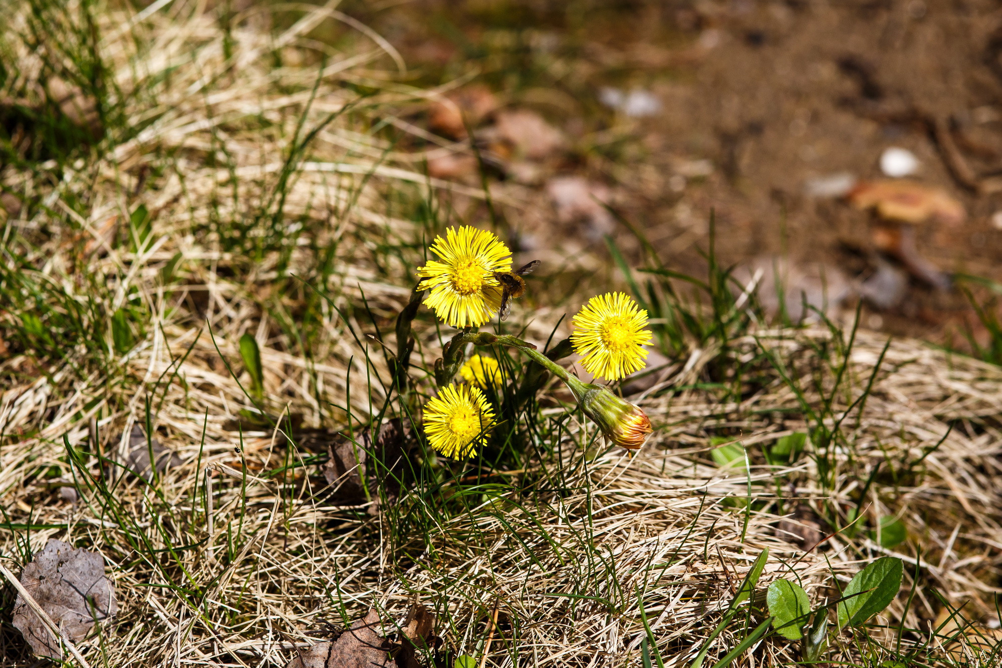 Инна и Олег. Фотограф Иван Недорез