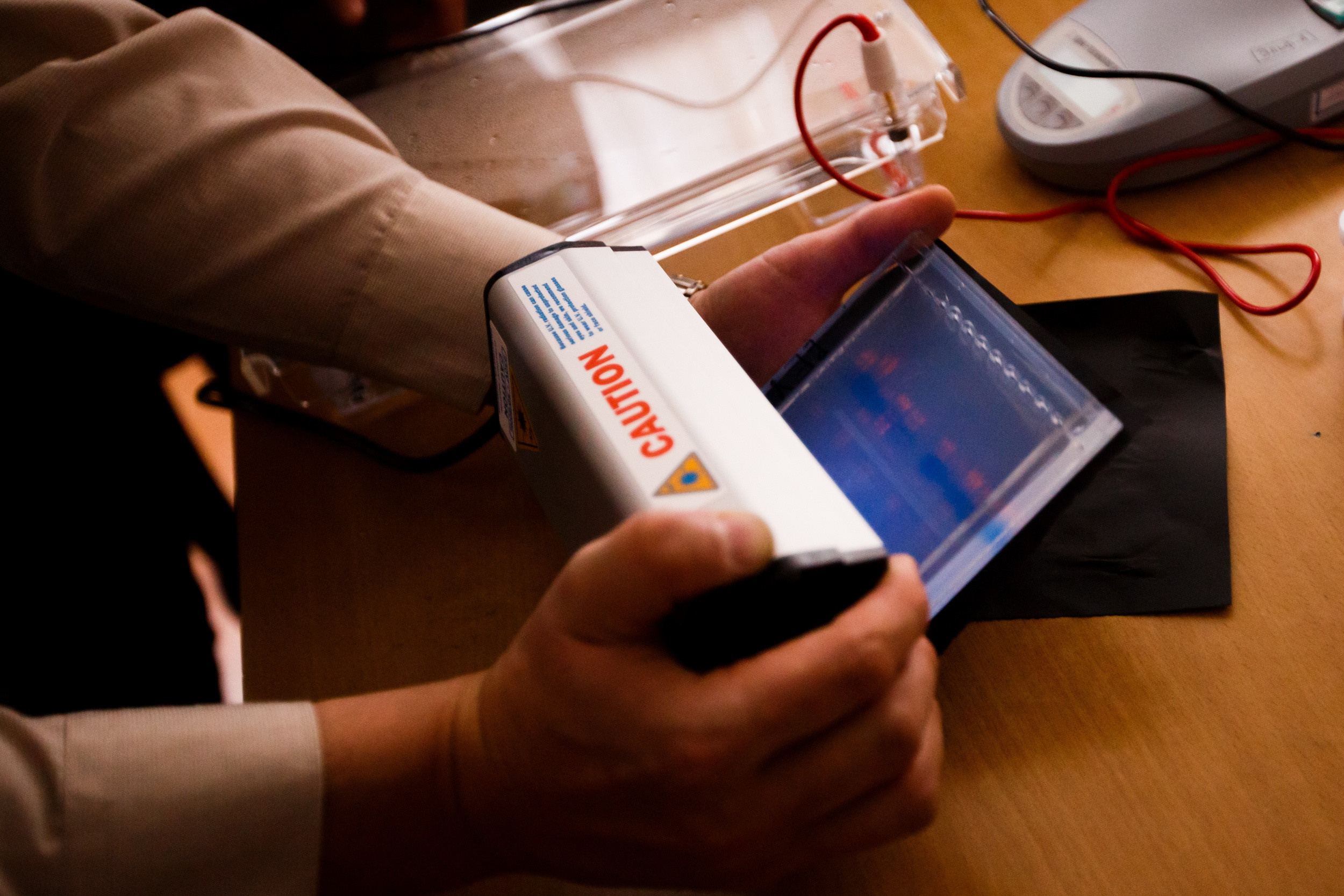 #ДеньБиотехнологий AMGEN. Фотограф Иван Недорез