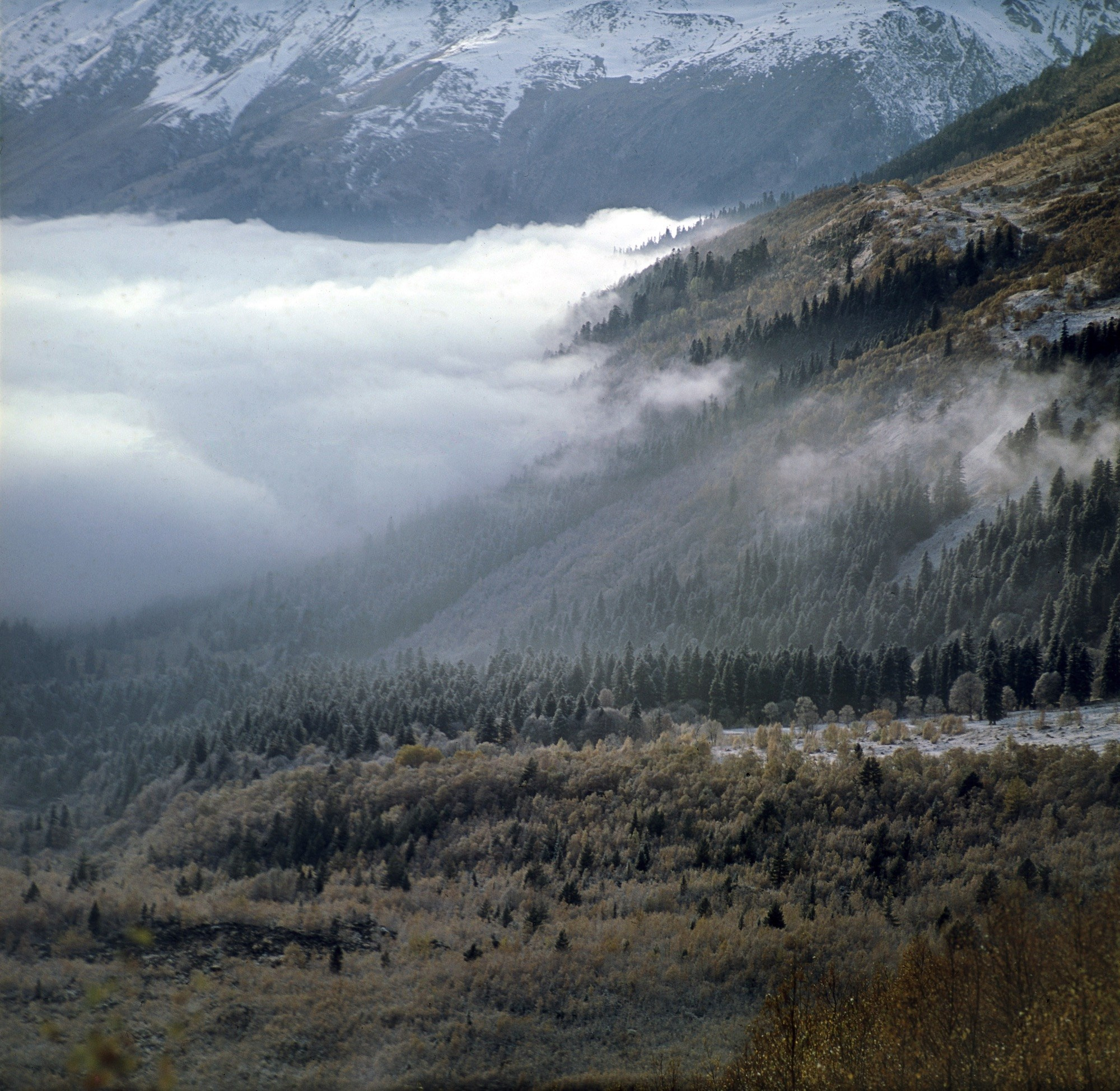 Кавказ. ВАДИМ ГИППЕНРЕЙТЕР — ВЕЛИКИЙ ФОТОГРАФ ЗЕМЛИ РУССКОЙ