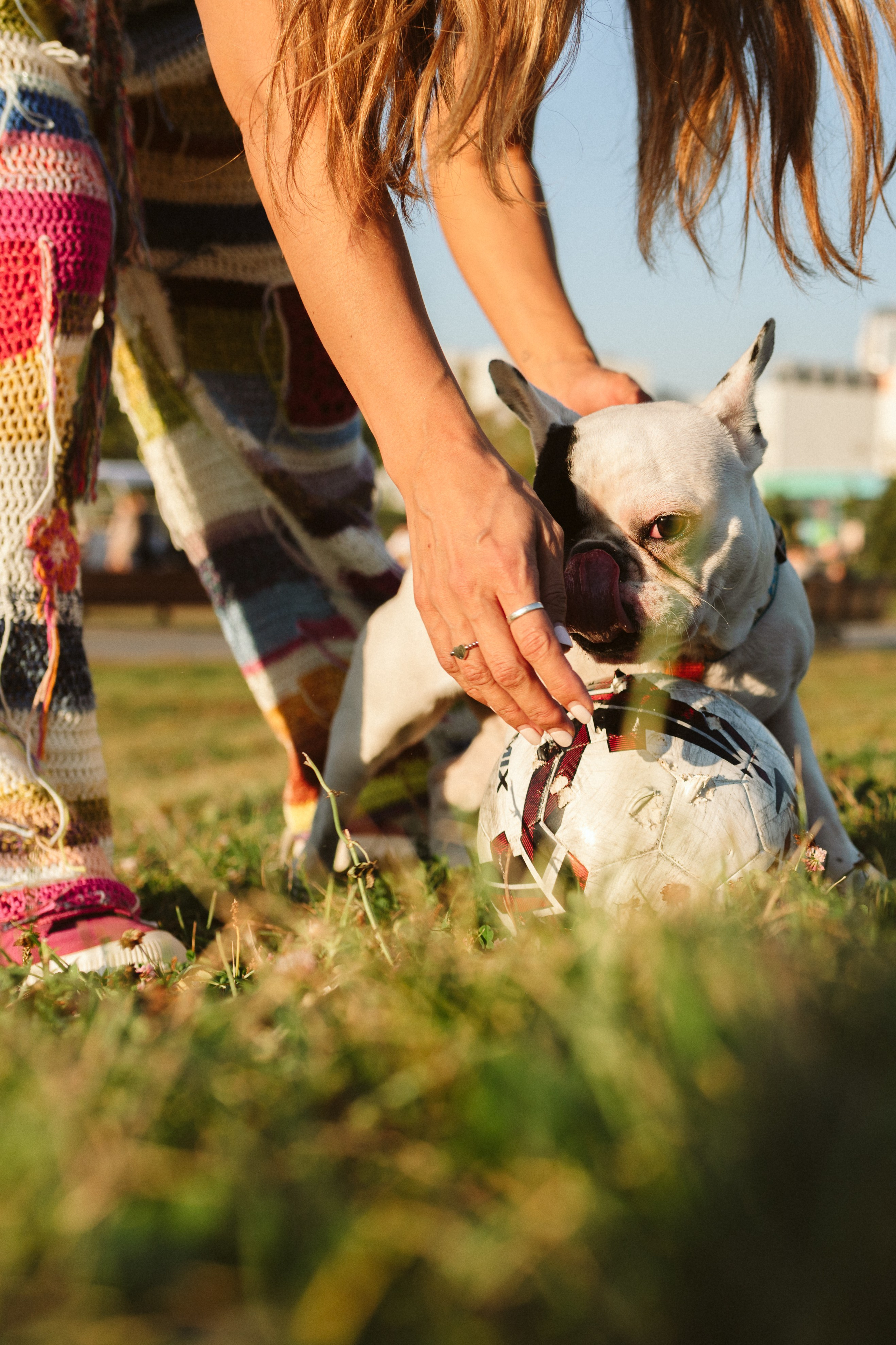 Инна и Белль. Фотограф анималист в Москве Ольга Агушева