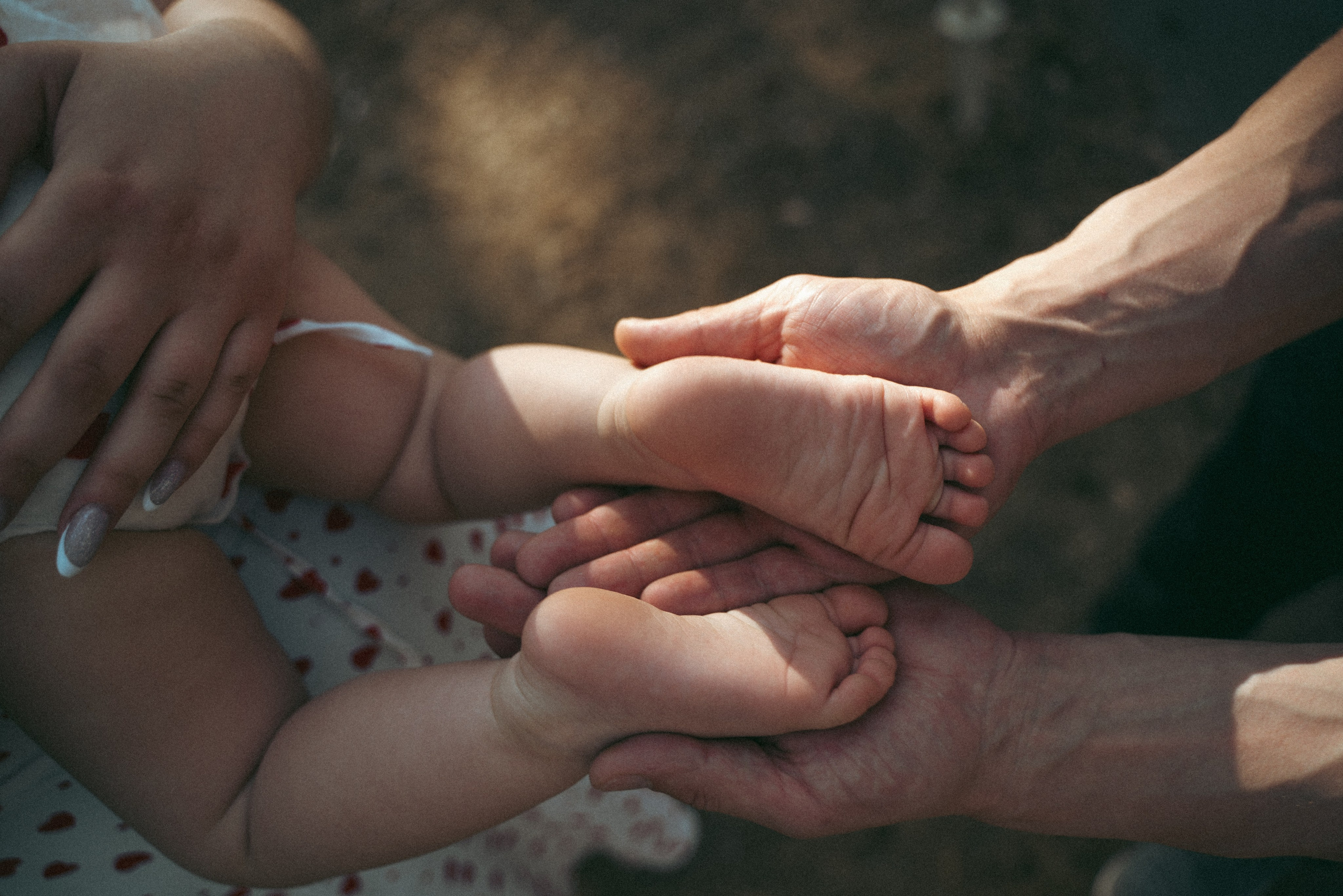 Дельфин парк. Фотограф Мария Зайчик