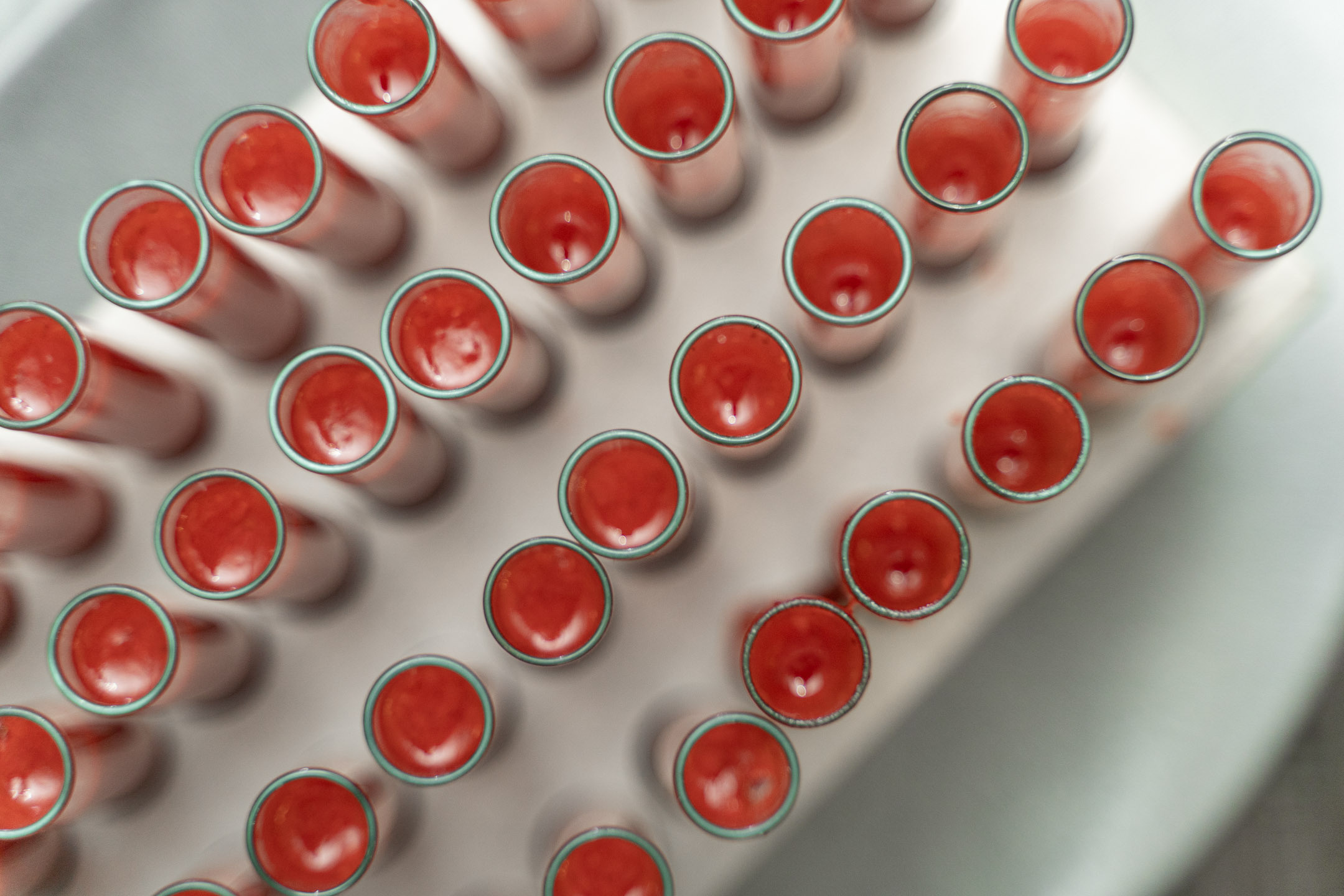 Wedding in Saint Petersburg. Valeria Coconova Photographer Italy Como Milan