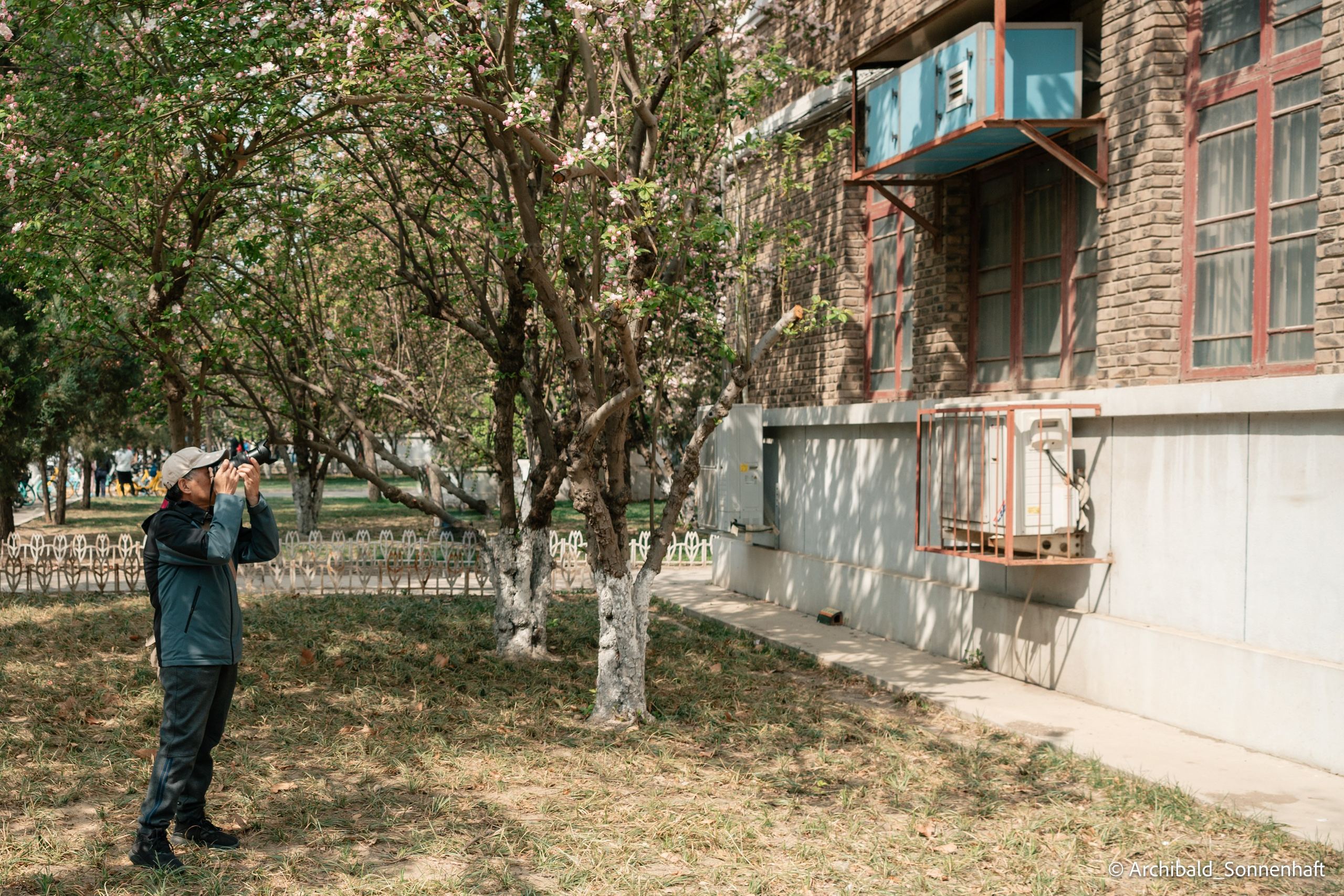 TJU blooming fest. Photographer in Guangzhou, China. Archibald Sonnenhaft