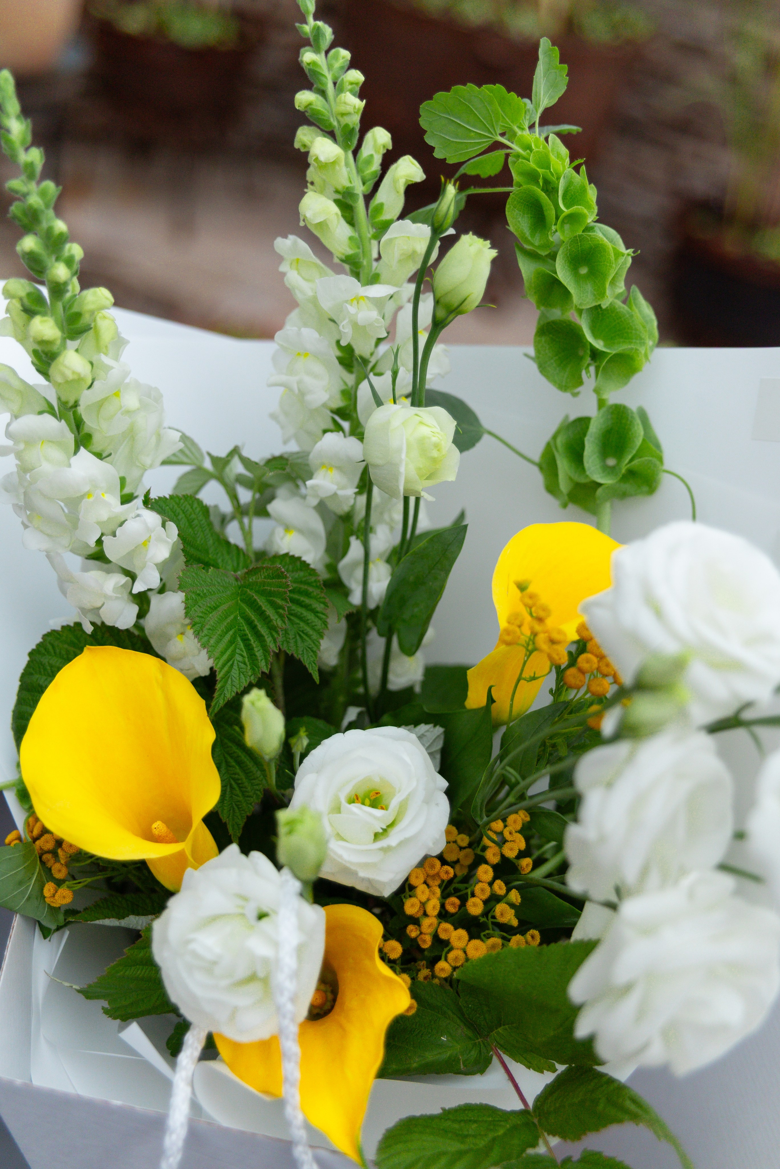 День рождения компании МебельКор. Фотограф Елена Кучук