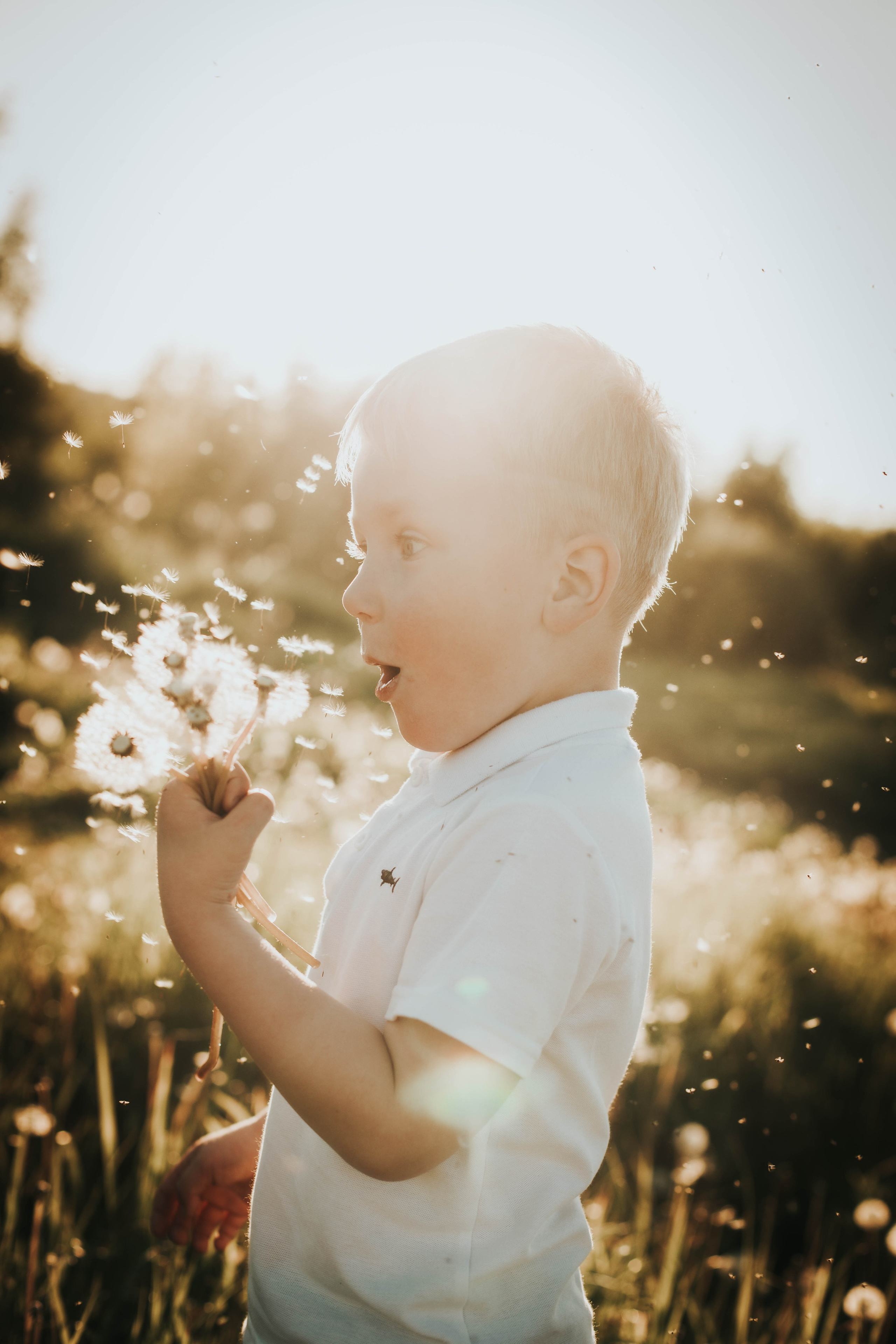 Гера и Примус. Фотограф в Нижнем Новгороде