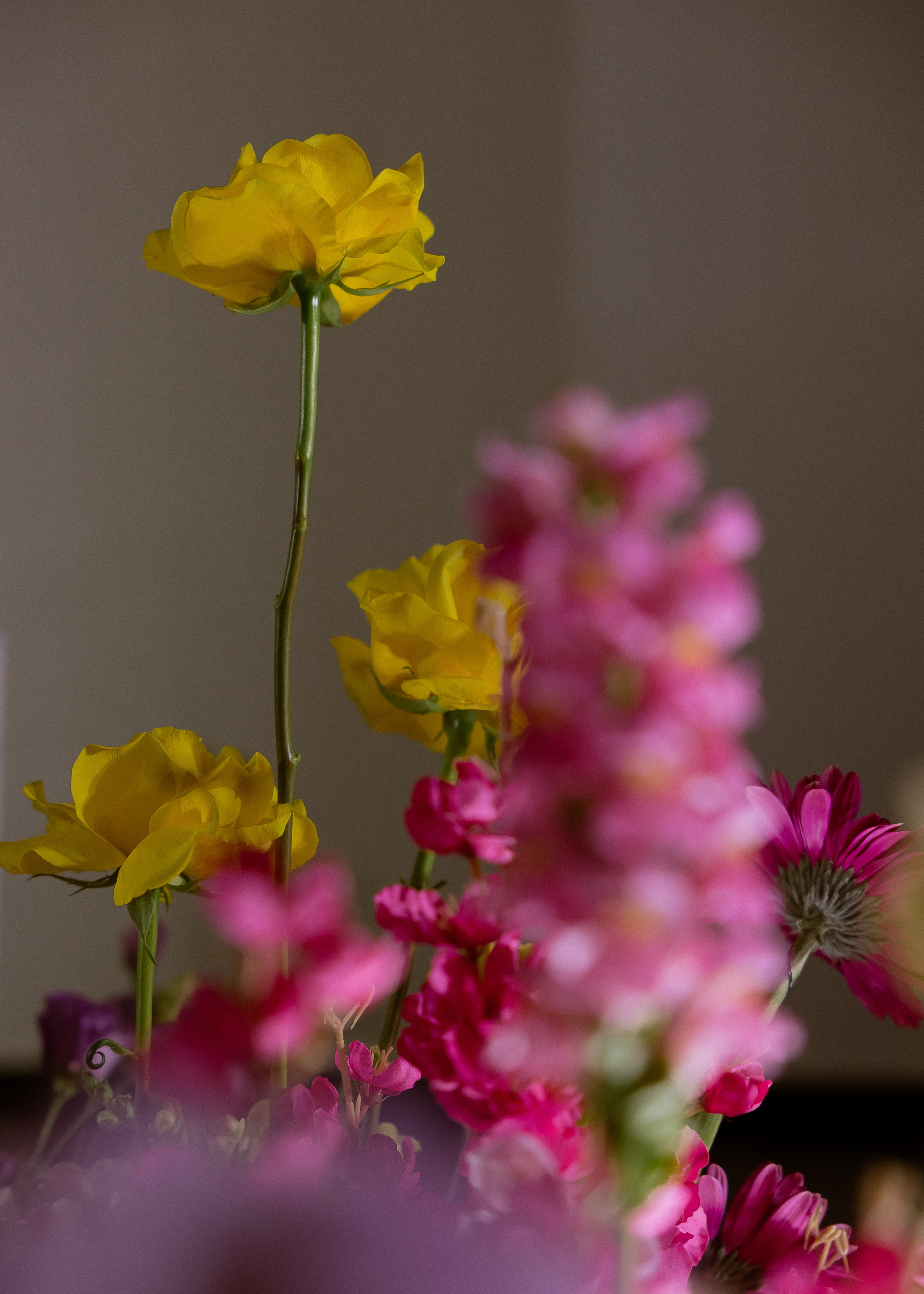 Дмитрий и Алита. Фотограф Эмиль Исякаев